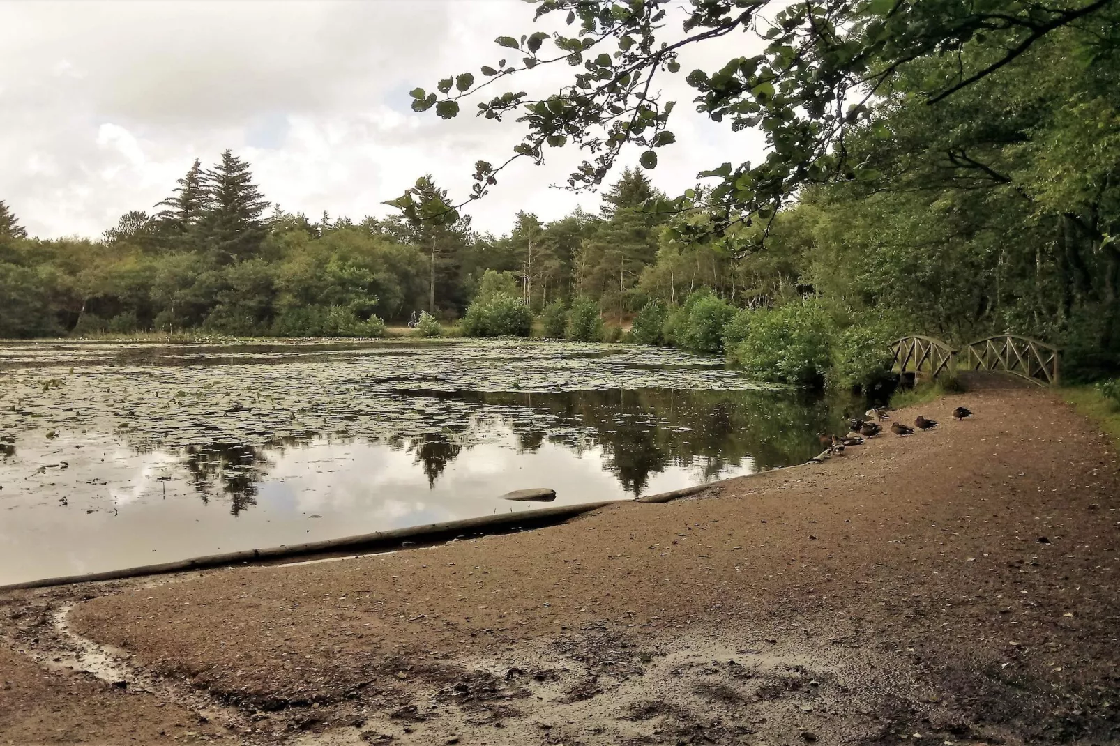 6 Personen Ferienhaus in Bindslev-By Traum-Wasserblick