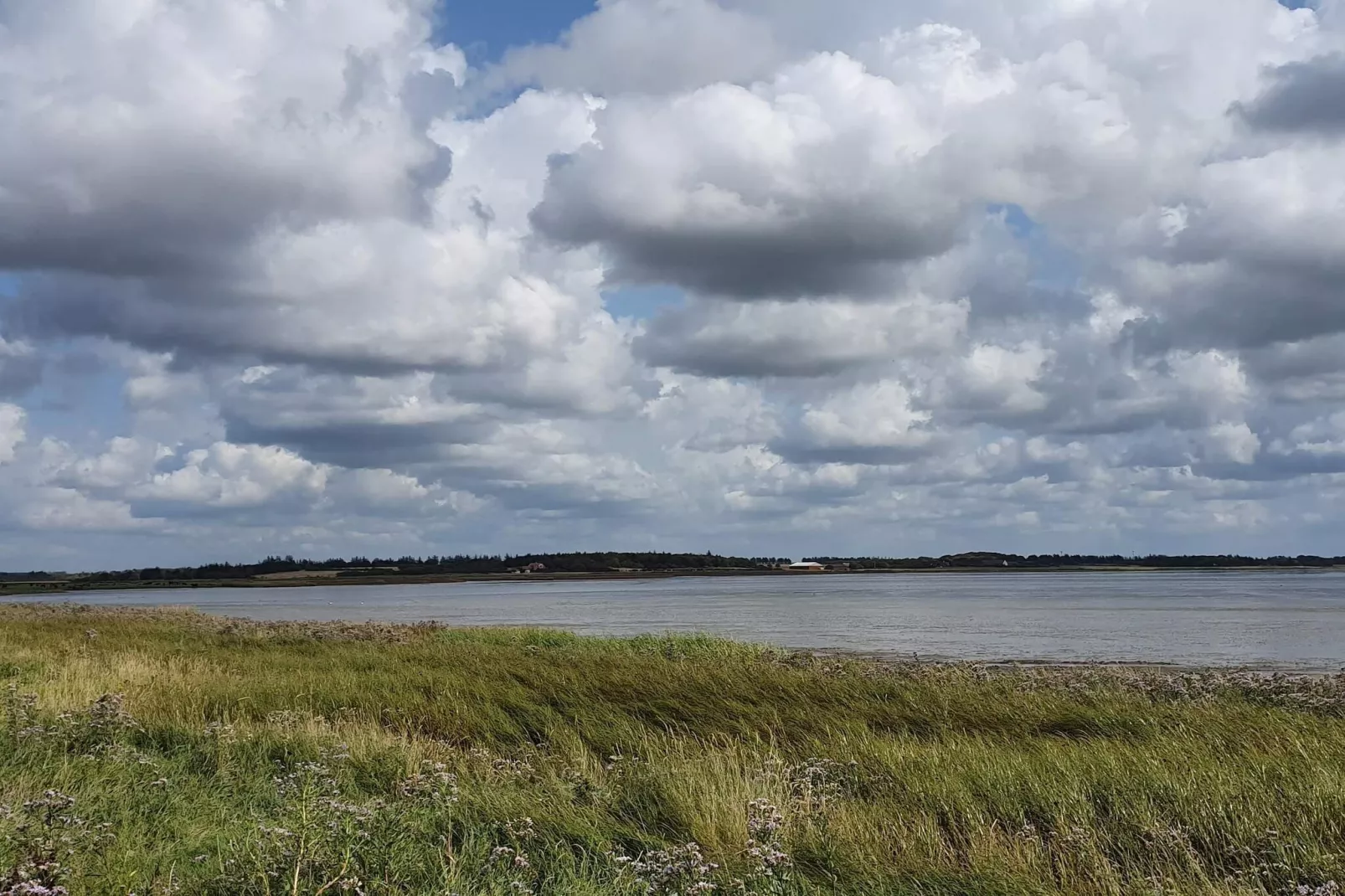 4 Personen Ferienhaus in Oksbøl-By Traum