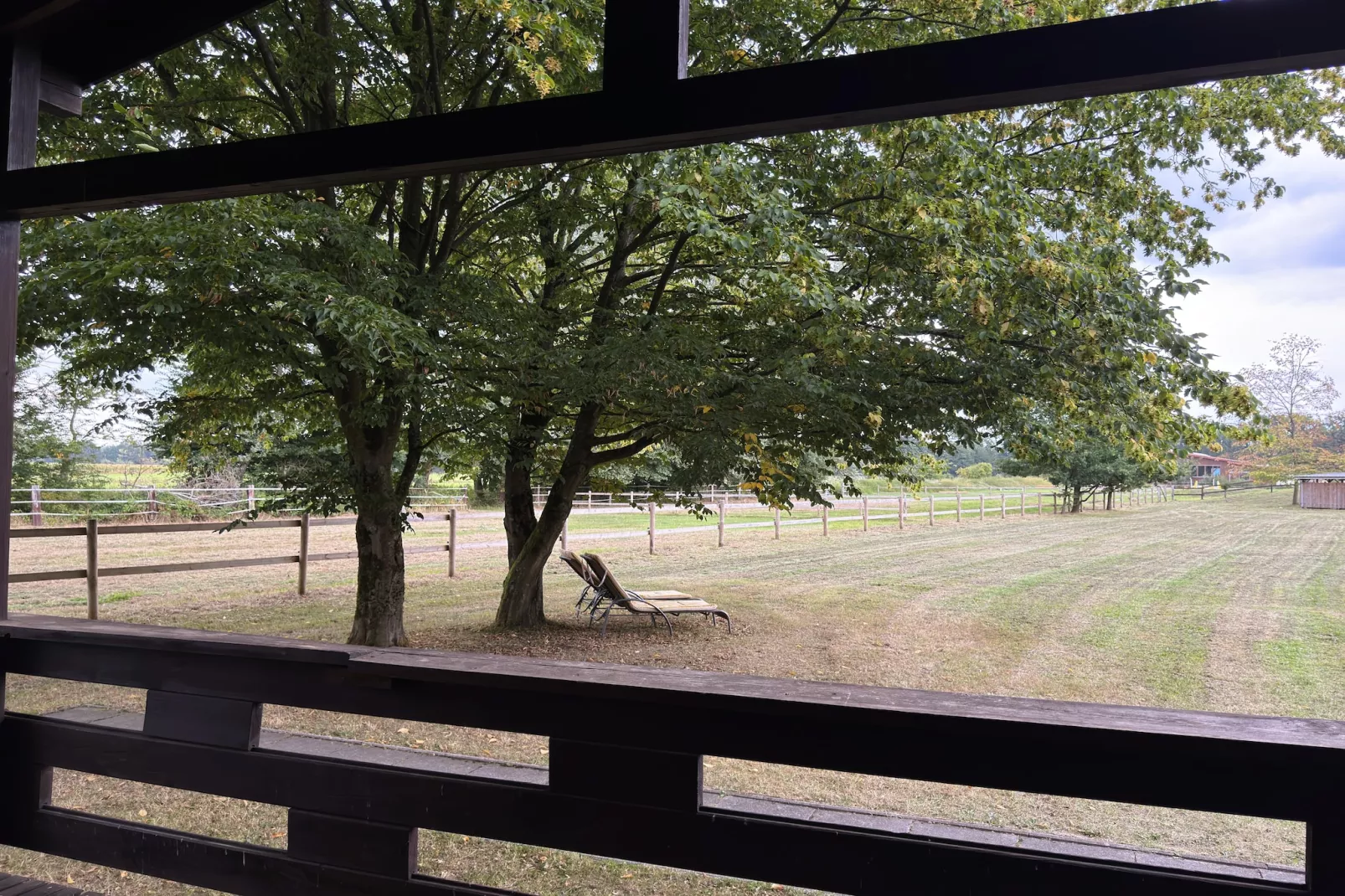 Lüneburger Heide-View in summer