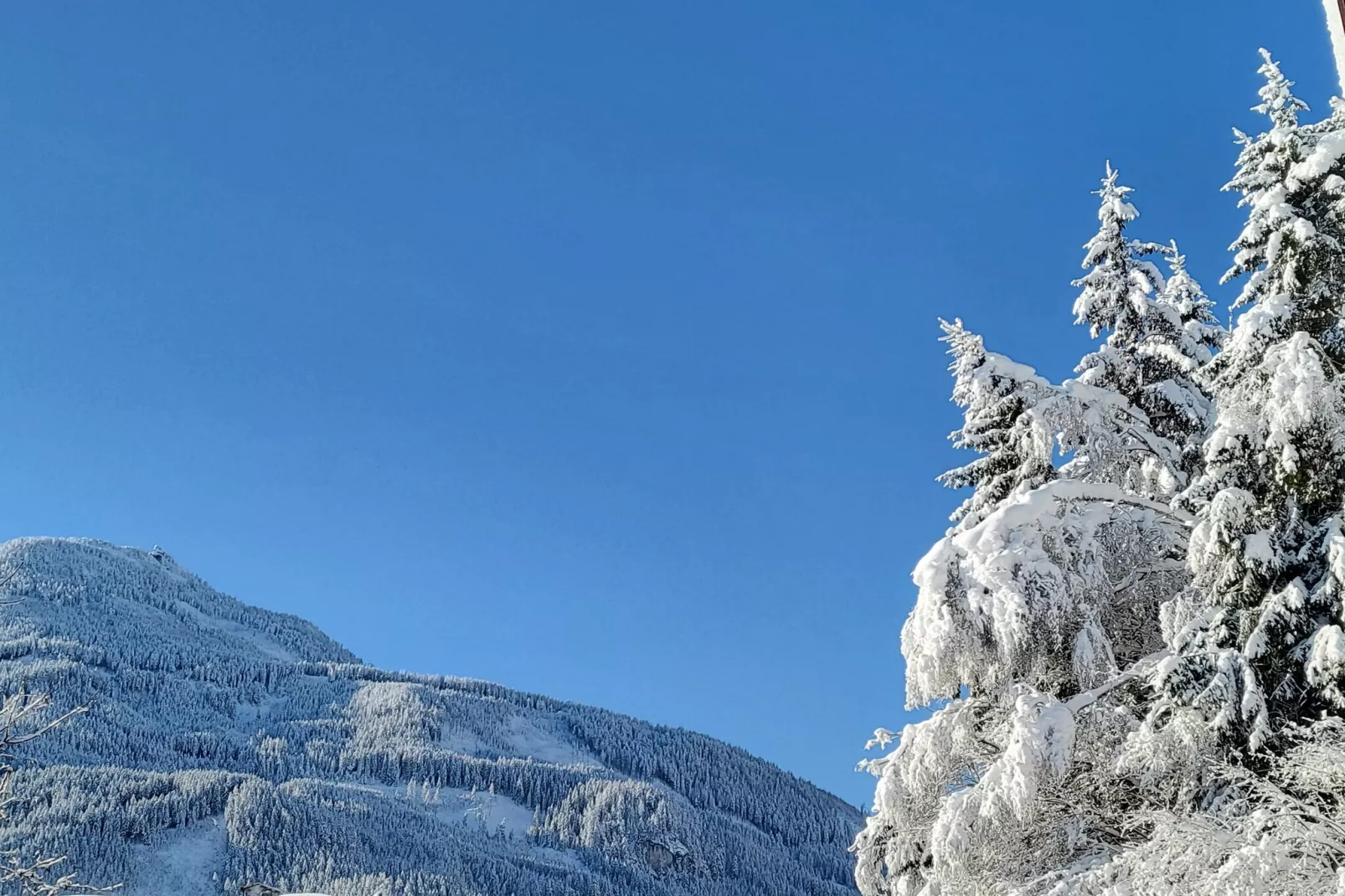 Appartement Tauernfenster-Area within 1km in winter