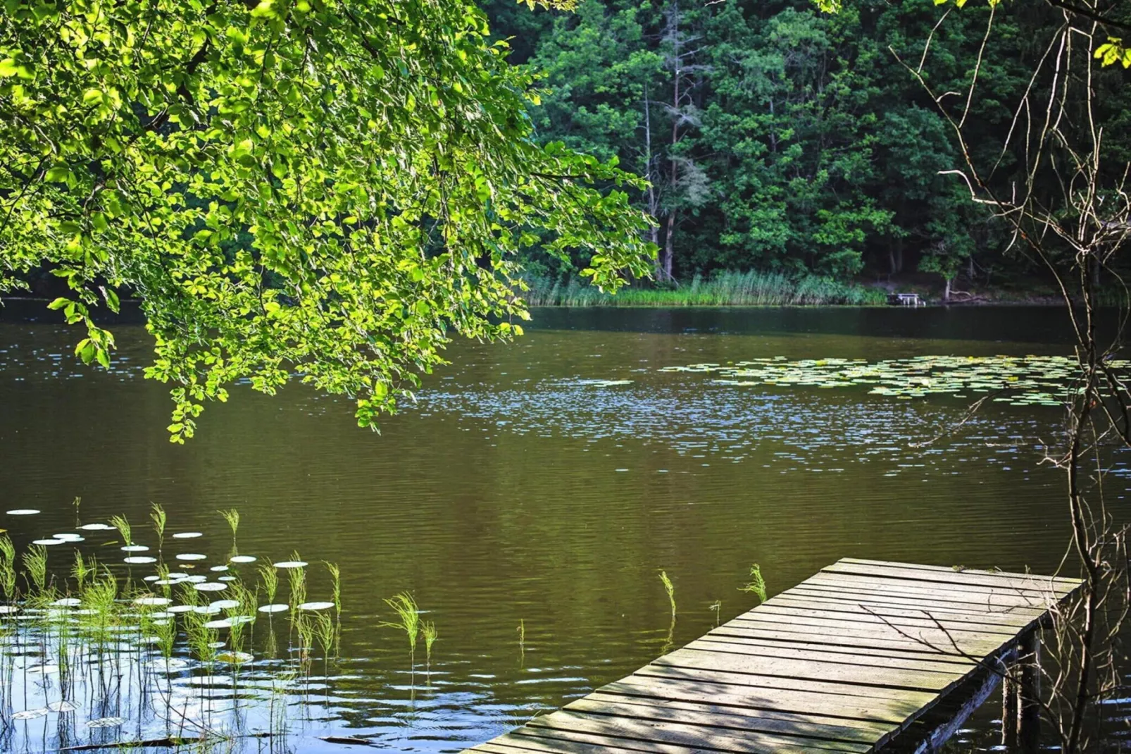 Holiday home Kolczewo 55 qm 5 Pers-Gebiete Sommer 1 km