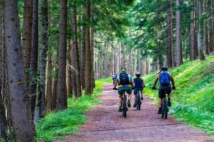 Pokój 3-osobowy na poddaszu Sarbinowo-Gebiete Sommer 1 km