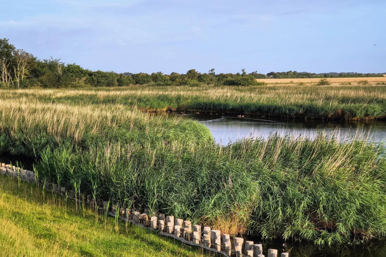 FeWo EG E-37-Areas within 5km in summer