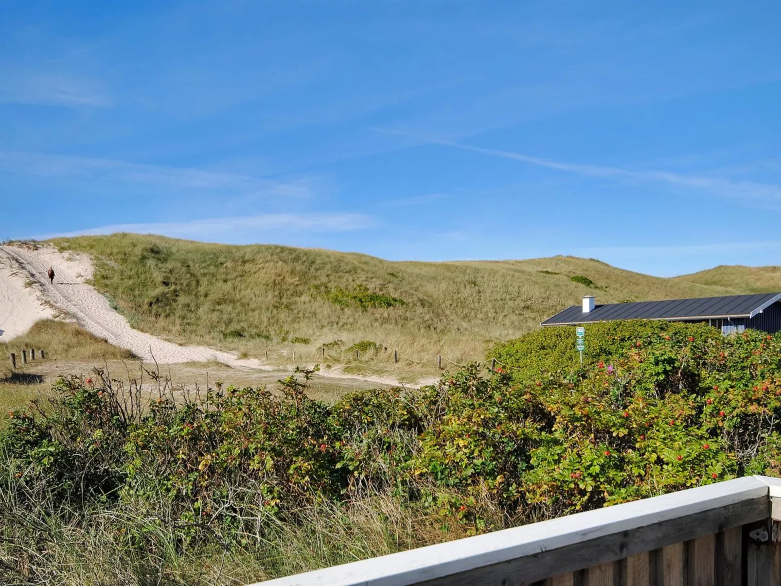 "Aase" -  from the sea-Dehors