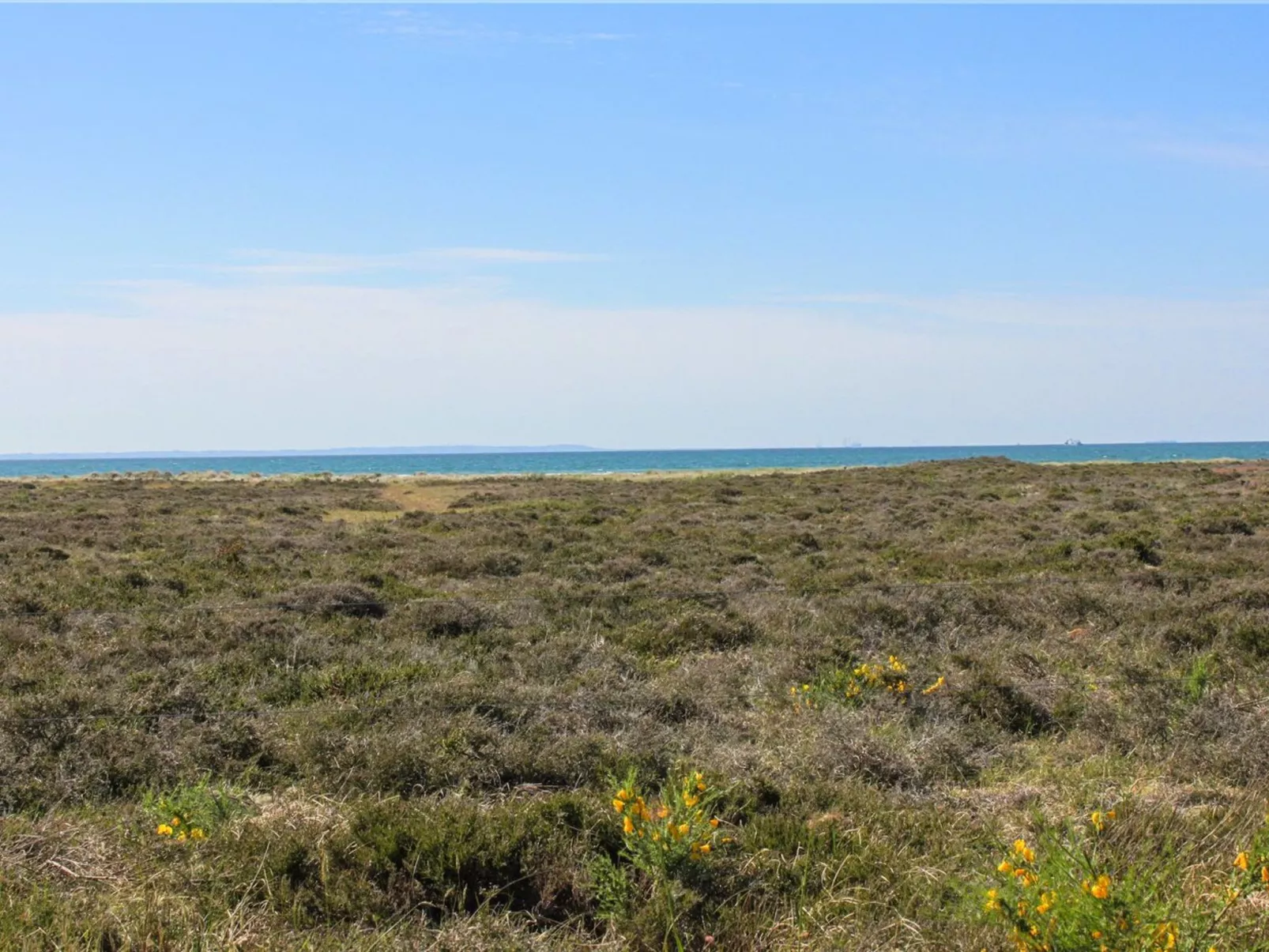 "Hatem" - 200m from the sea-Outside