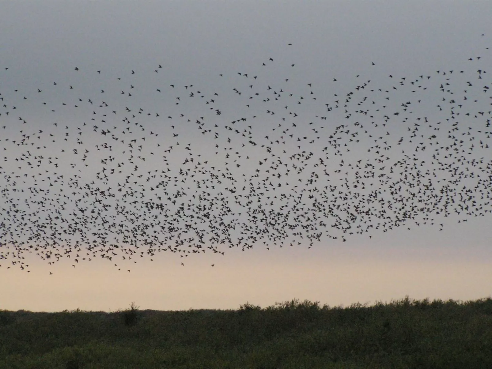 "Zekine" - 2.5km from the sea-Dehors
