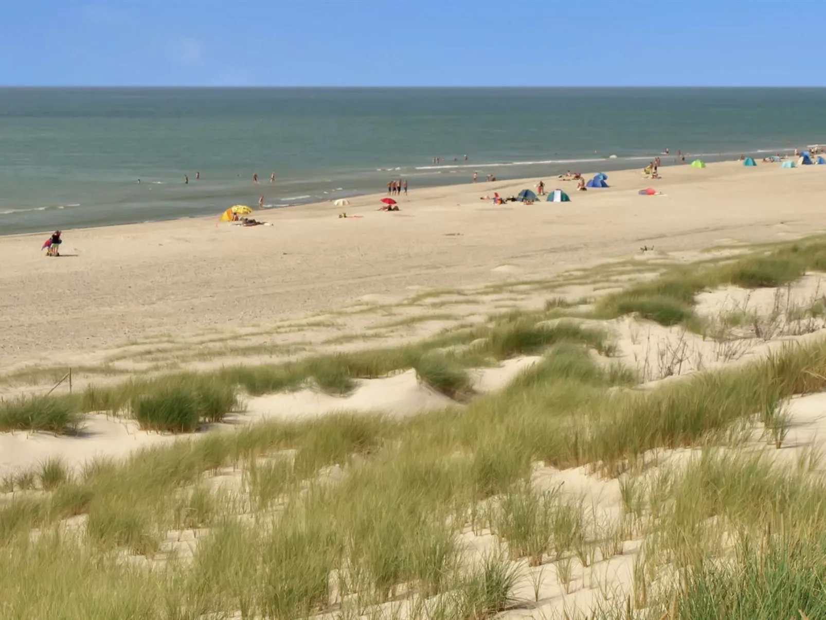 "Lowe" -  from the sea-Dehors