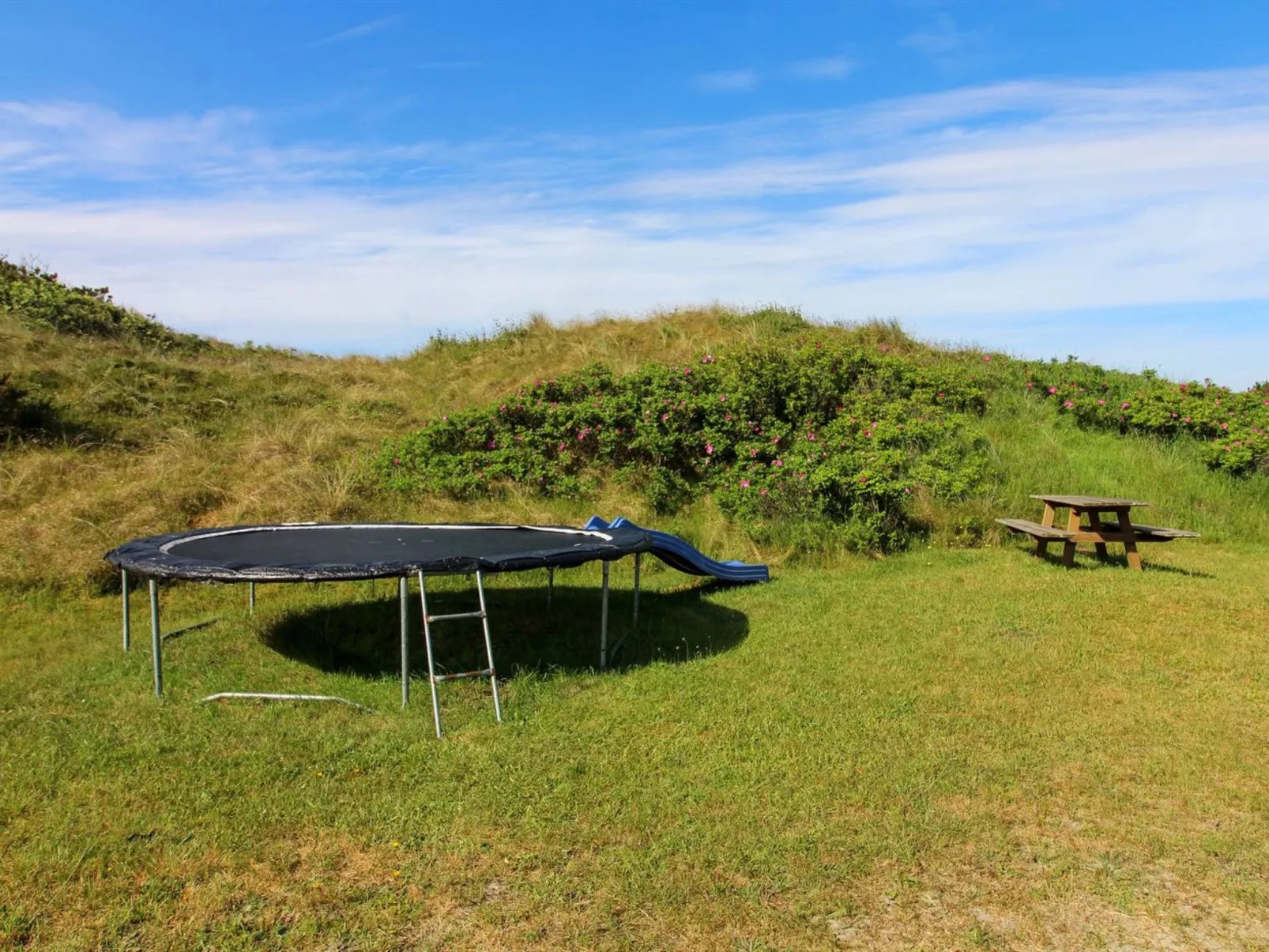 "Dragan" - 350m from the sea-Outside