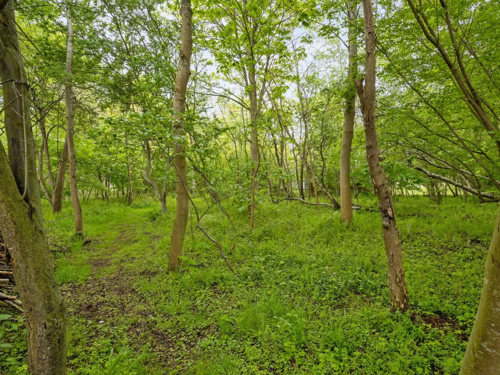 "Thrugels" - 200m from the sea-Outside