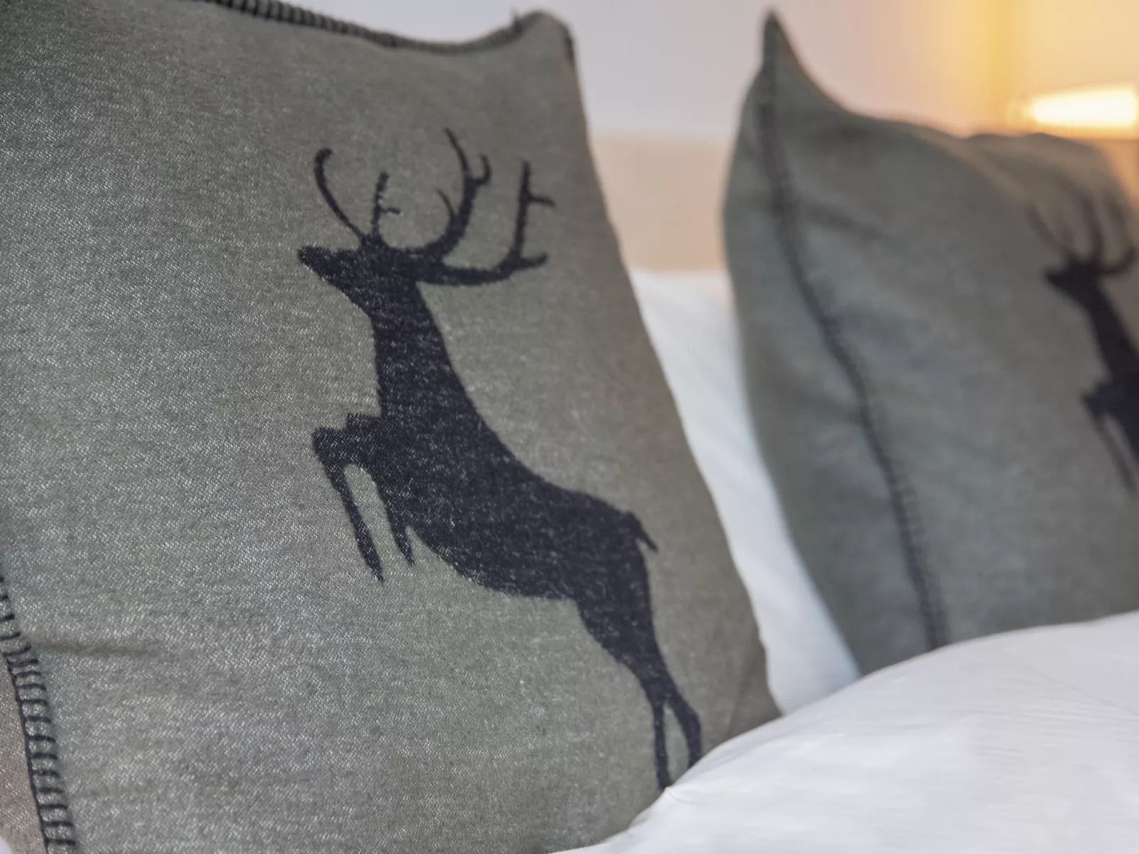 Residenz Cresta Kulm B26-Inside