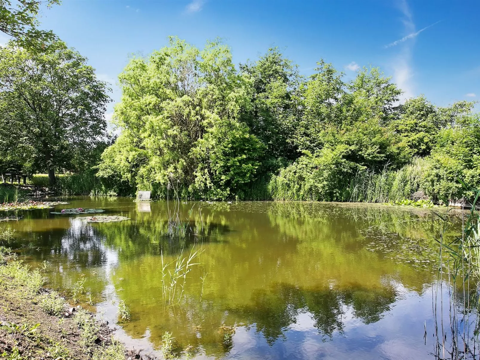 "Sibo" - 1.5km from the sea-Dehors