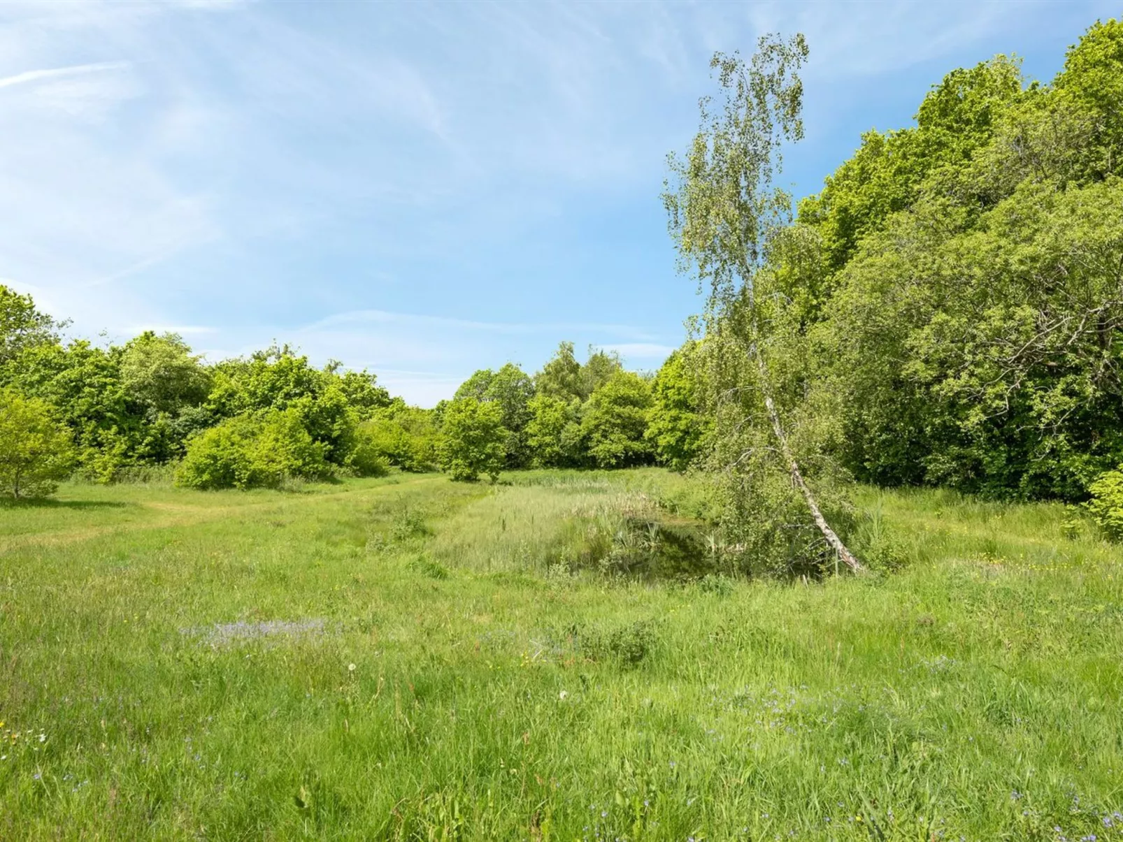 "Tydulf" - 34km from the sea-Outside