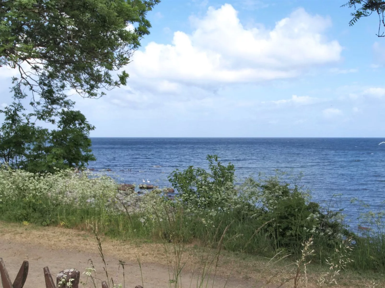 "Zina" - 25m from the sea-Draußen