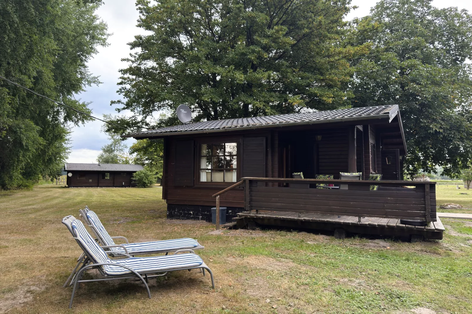 Lüneburger Heide-Gardens in summer