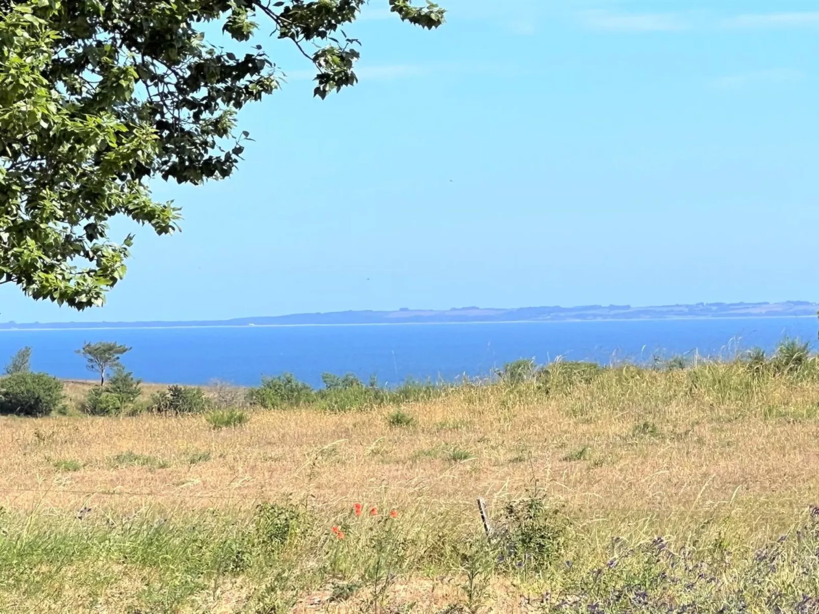 "Aurore" - 1.3km from the sea-Outside