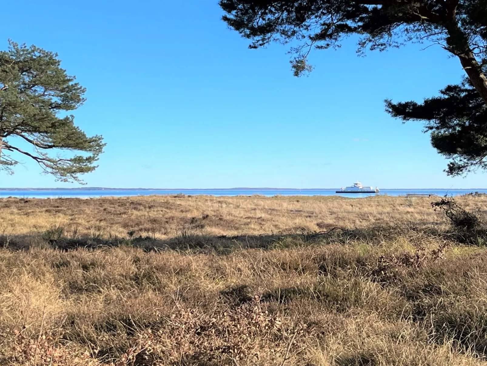 "Toska" - 100m to the fjord-Draußen