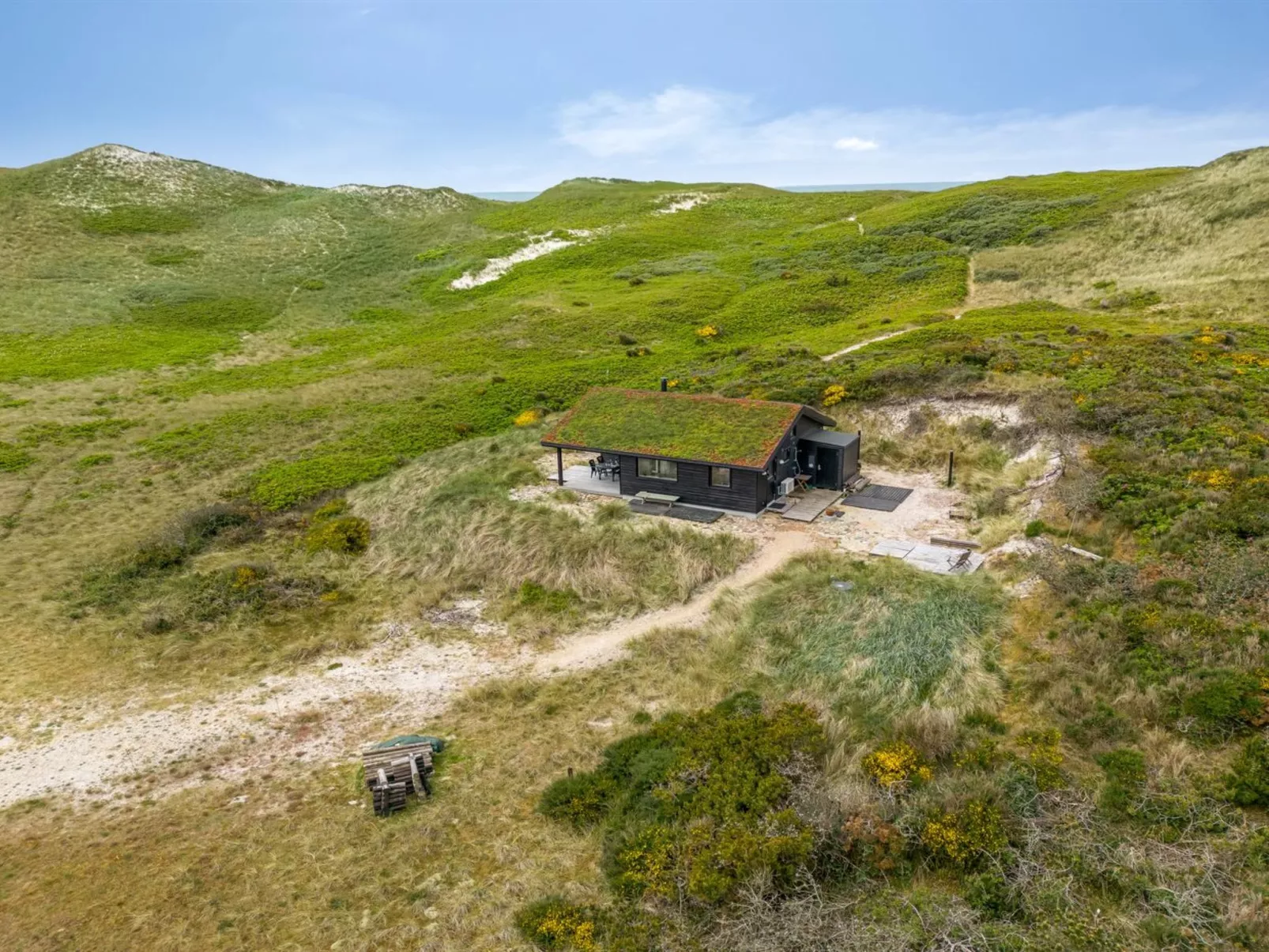 "Apolina" -  from the sea-Draußen