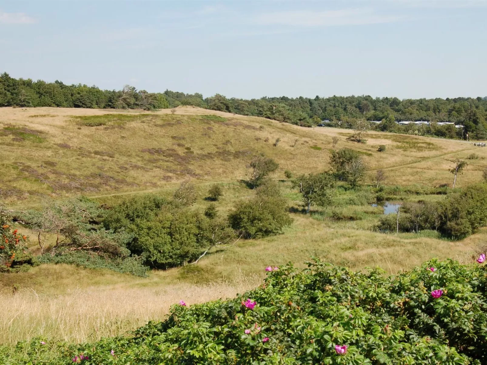 "Jonce" - 250m from the sea-Draußen