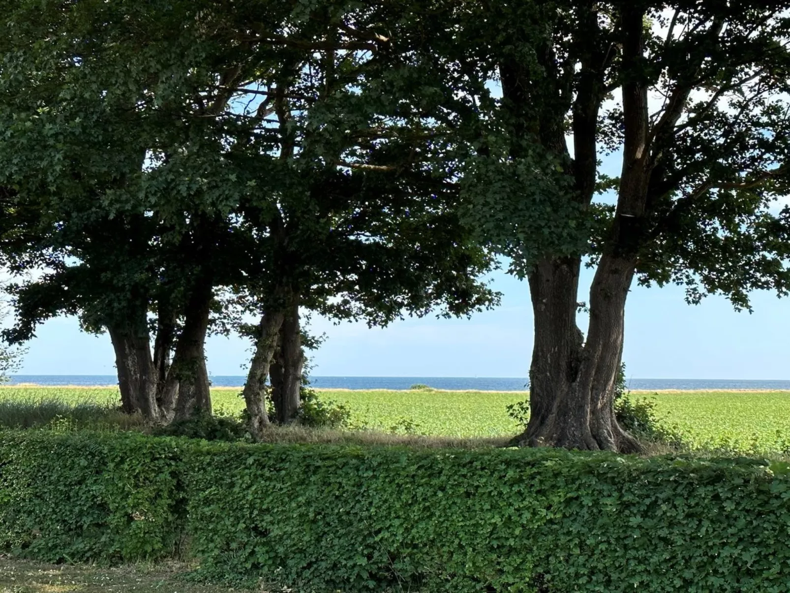 "Francis" - 300m from the sea-Outside