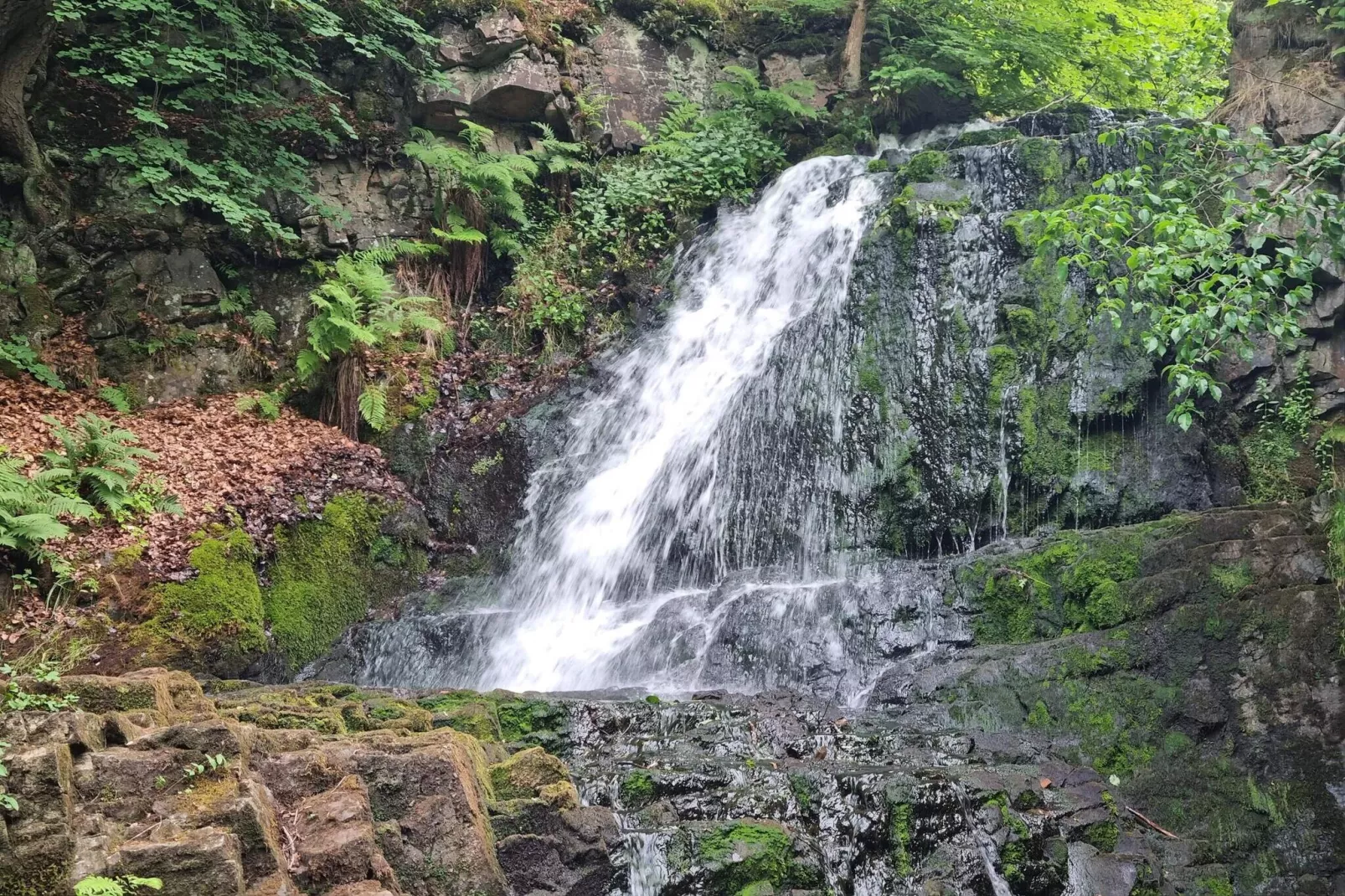 4 etoiles maison de vacances a Gärsnäs-Vue sur l'eau