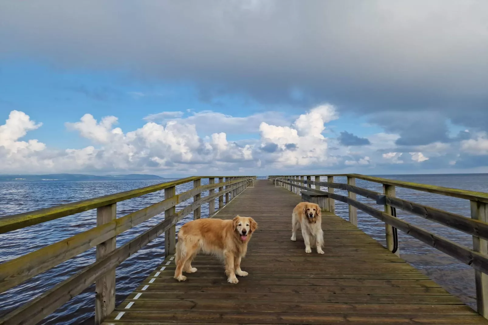 Nice apartment near the beach-By Traum-Water view