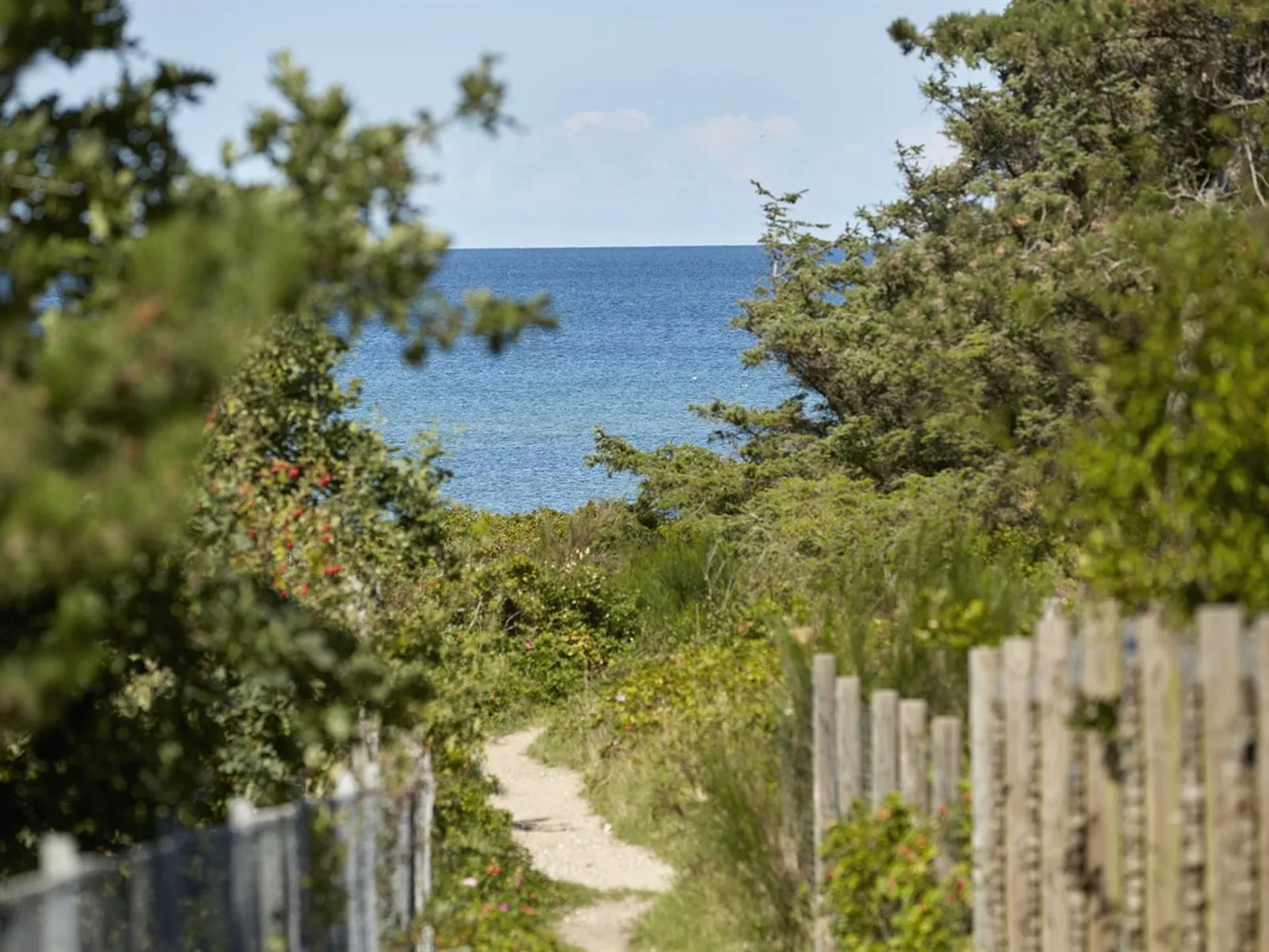 "Andy" - 150m from the sea-Dehors