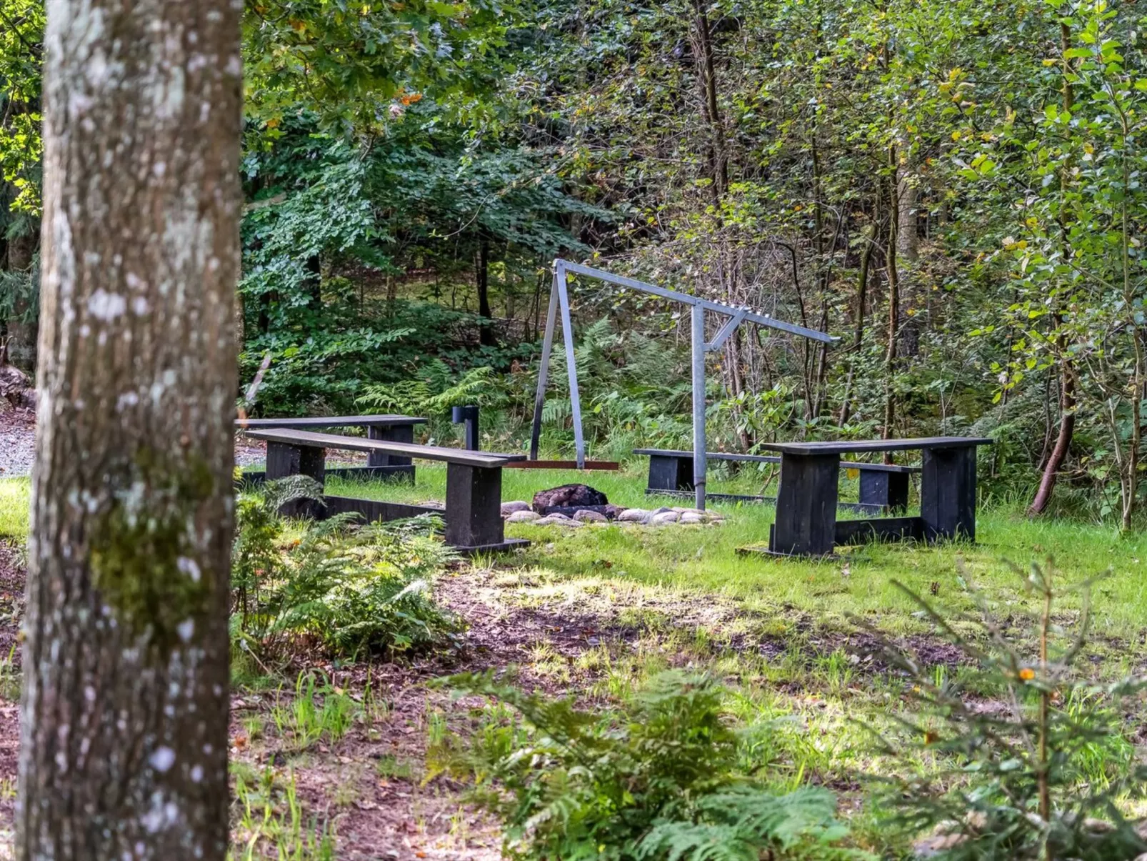 "Vicente" - 14km to the fjord-Outside