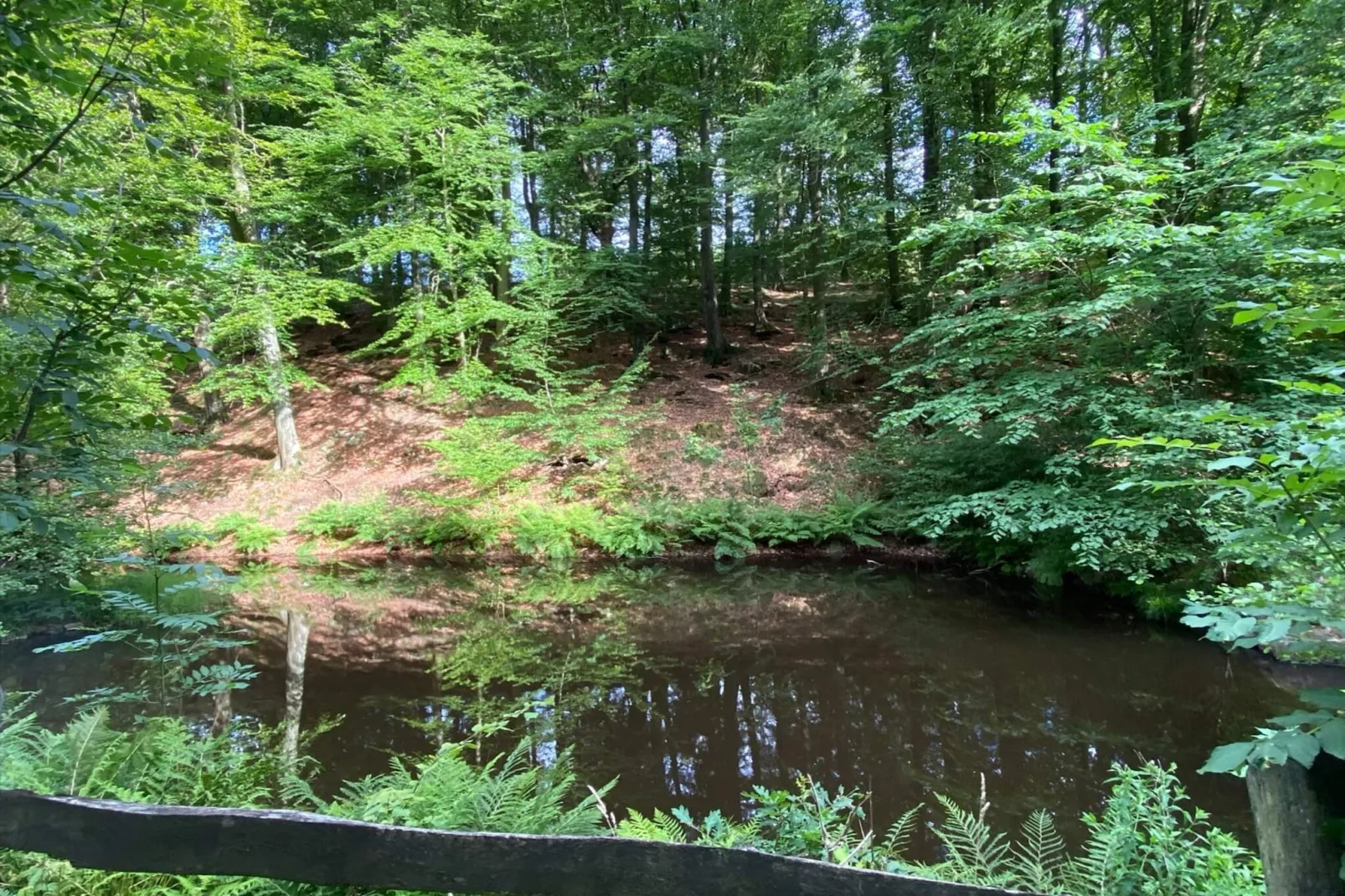 4 person holiday home in Hoor-Water view