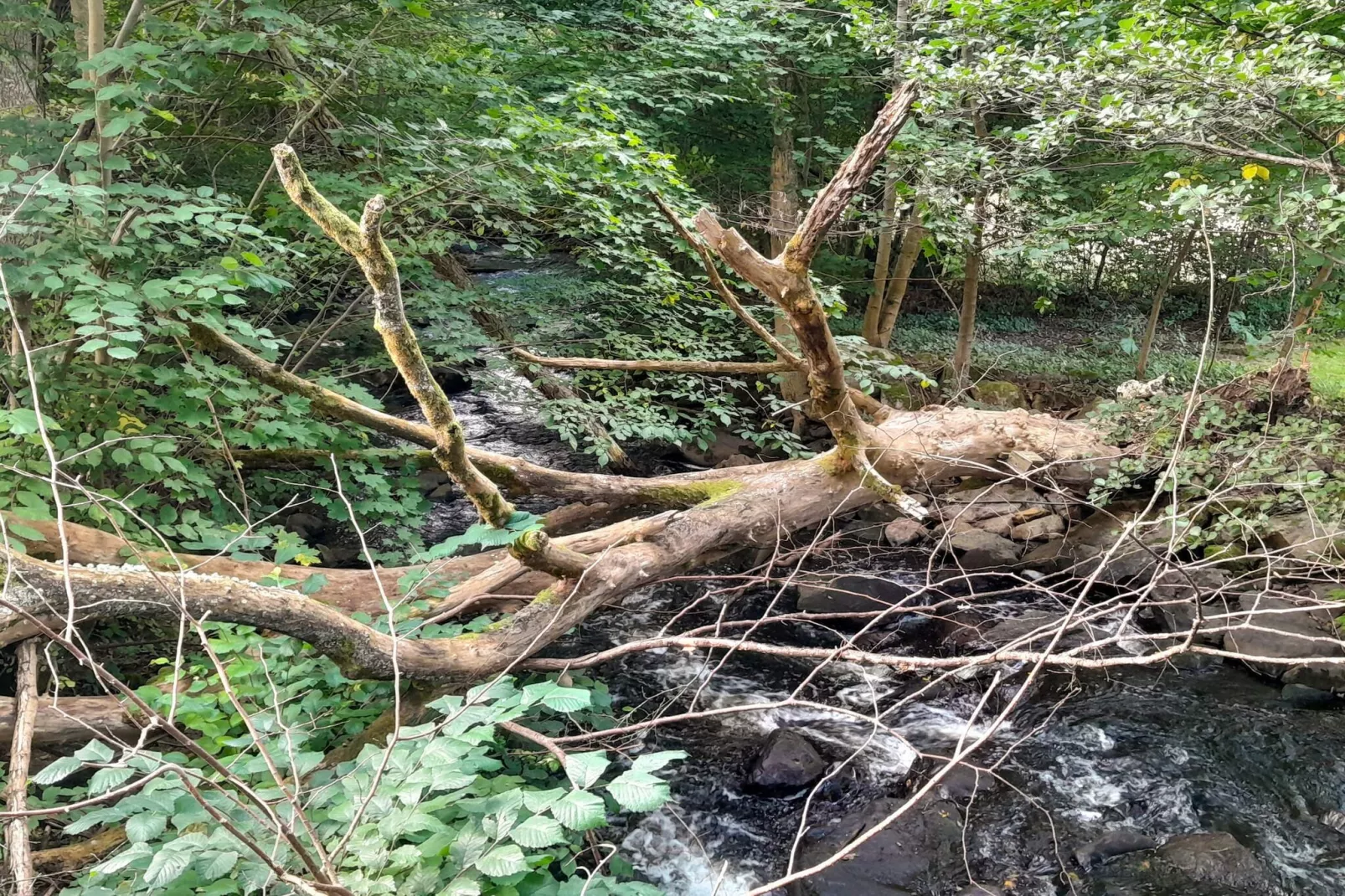 4 star holiday home in MUNKA-LJUNGBY-Water view