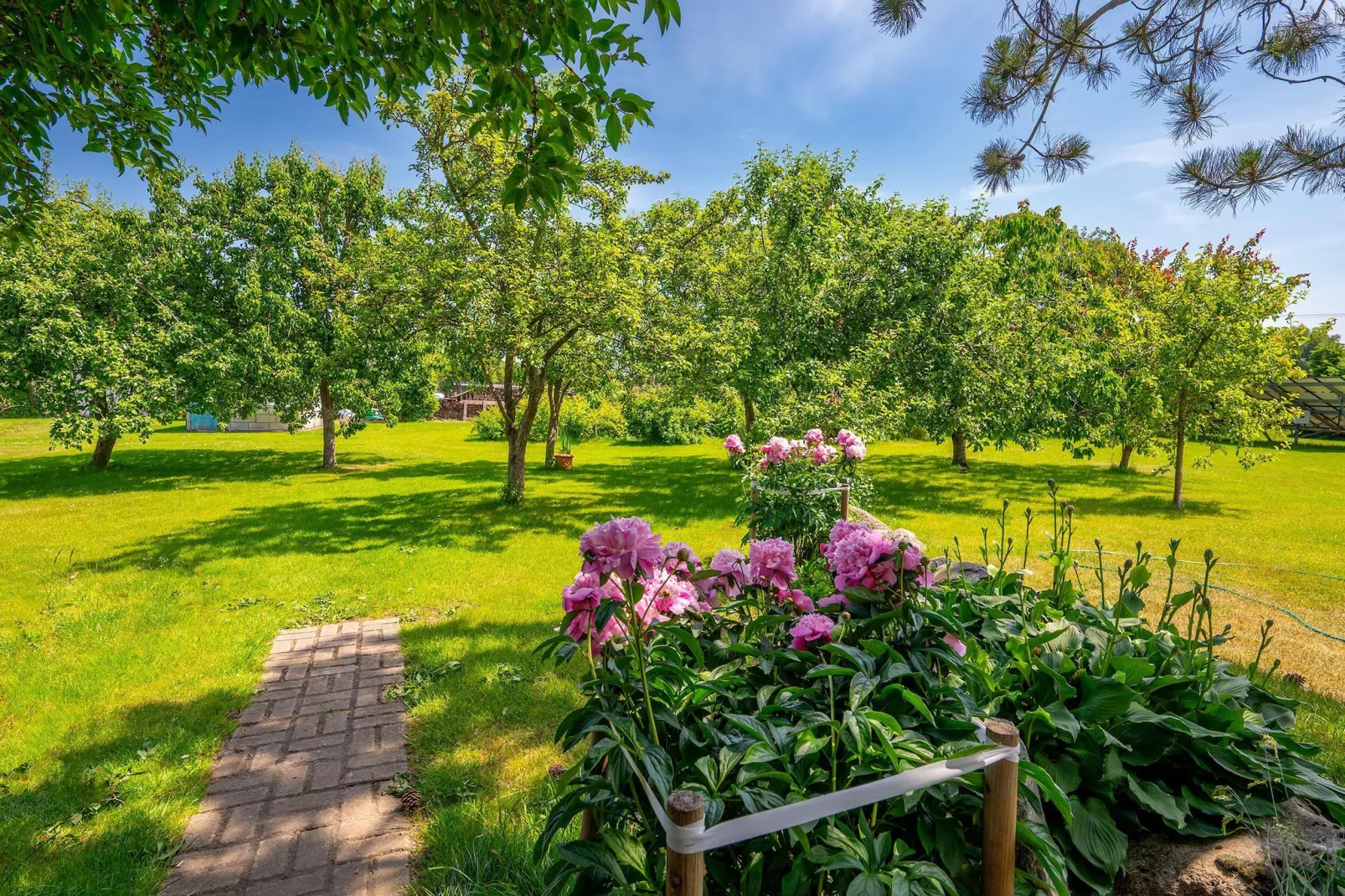 Domki wakacyjne na min 5 dób Domasławice-Garten Sommer