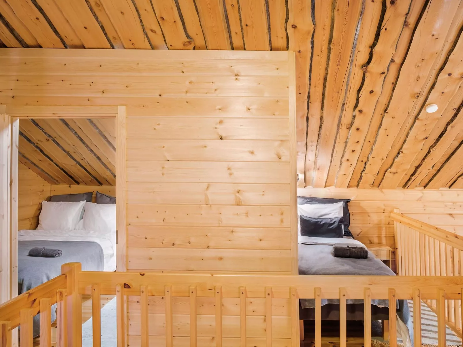 Kevätruska b-Dedans