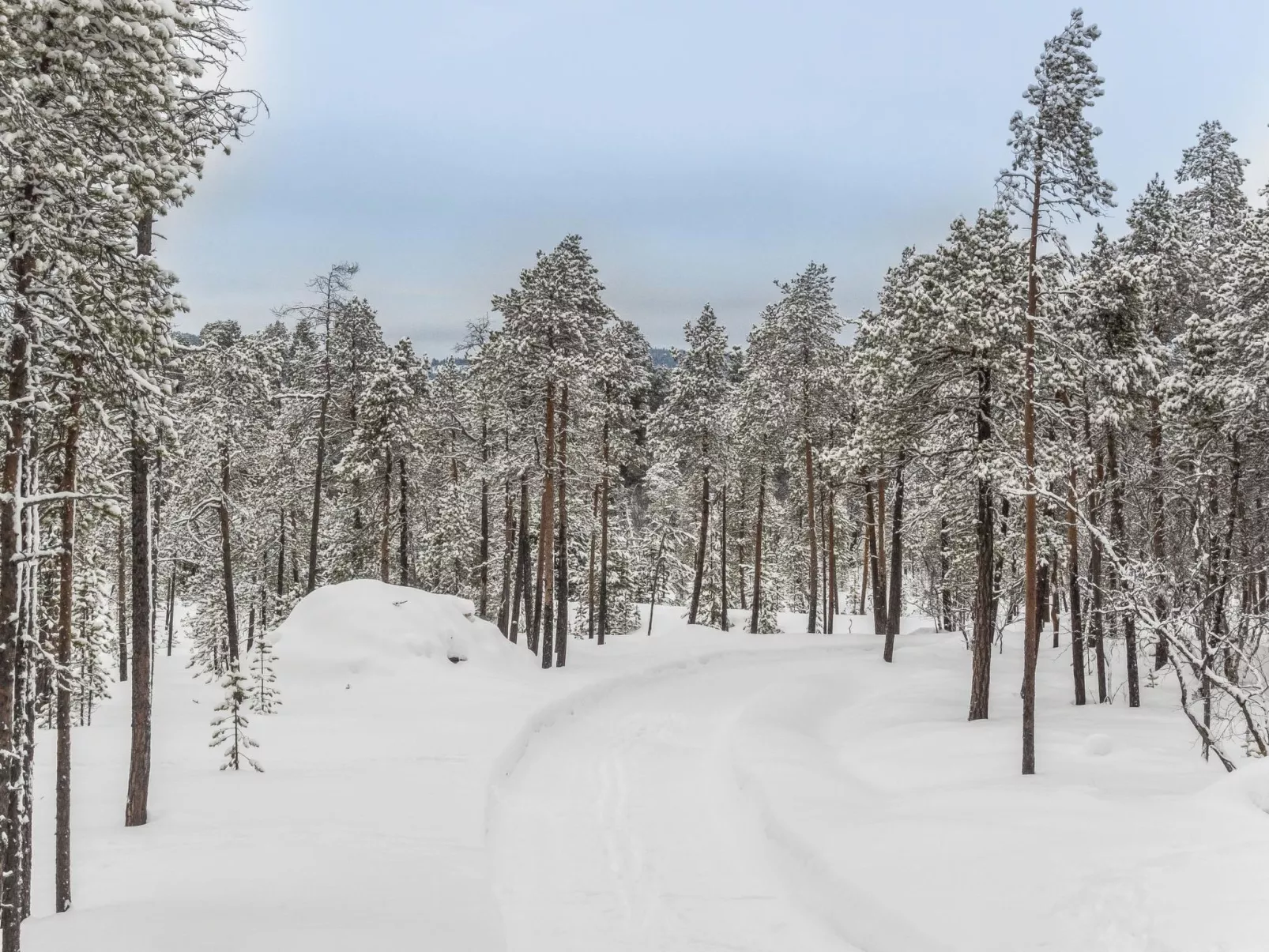 Villa paadari apartment-Inside