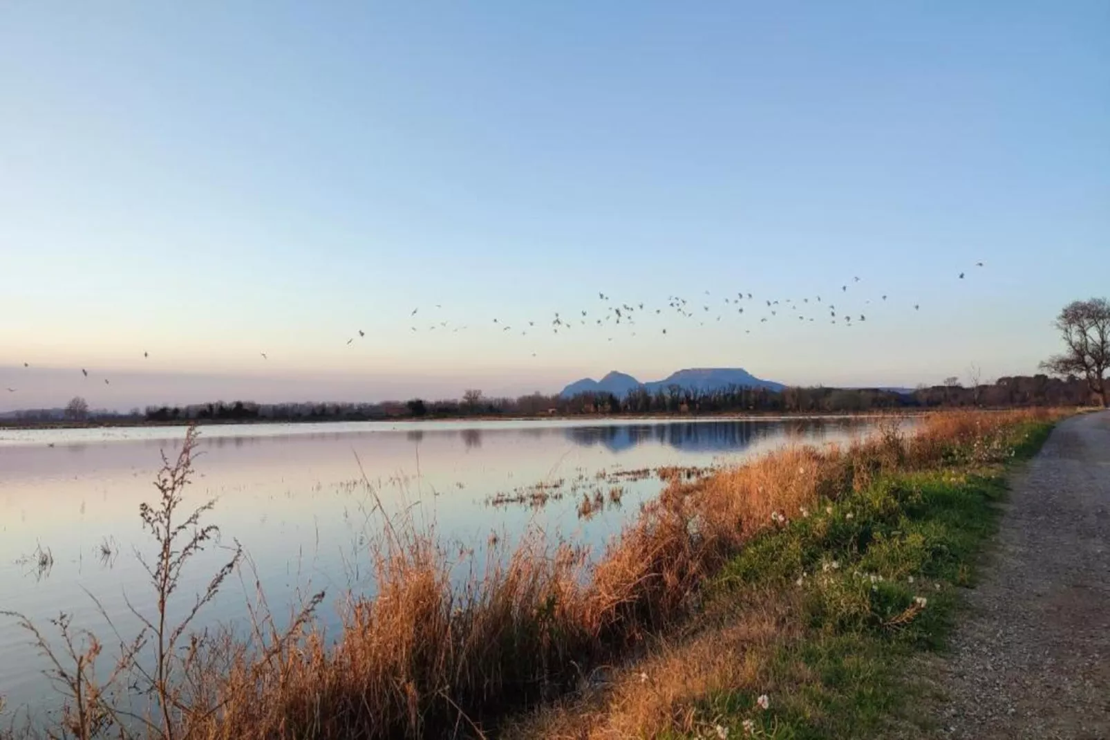 Medas 17-Areas within 5km in summer