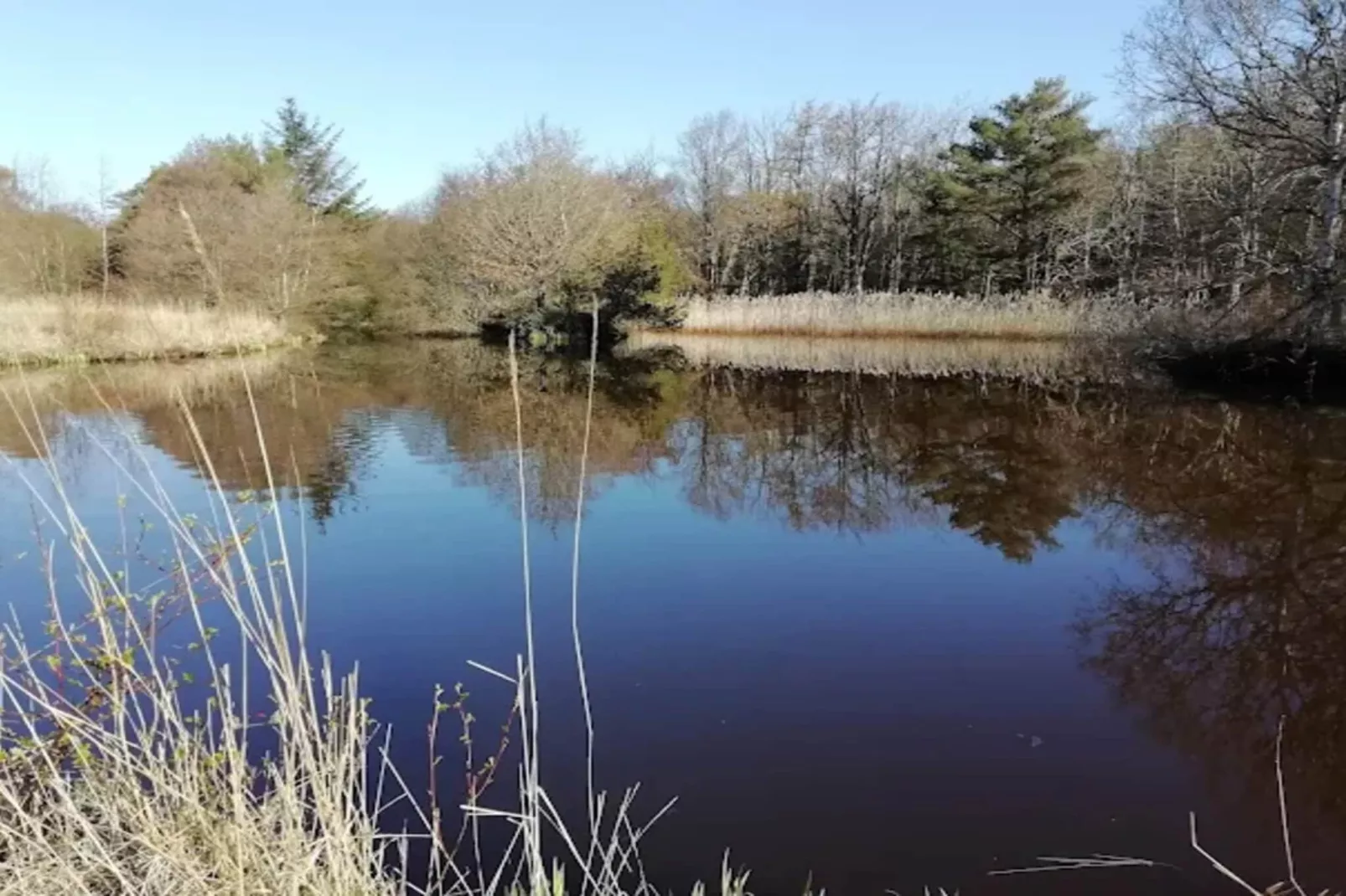 4 star holiday home in Ålbæk-Water view