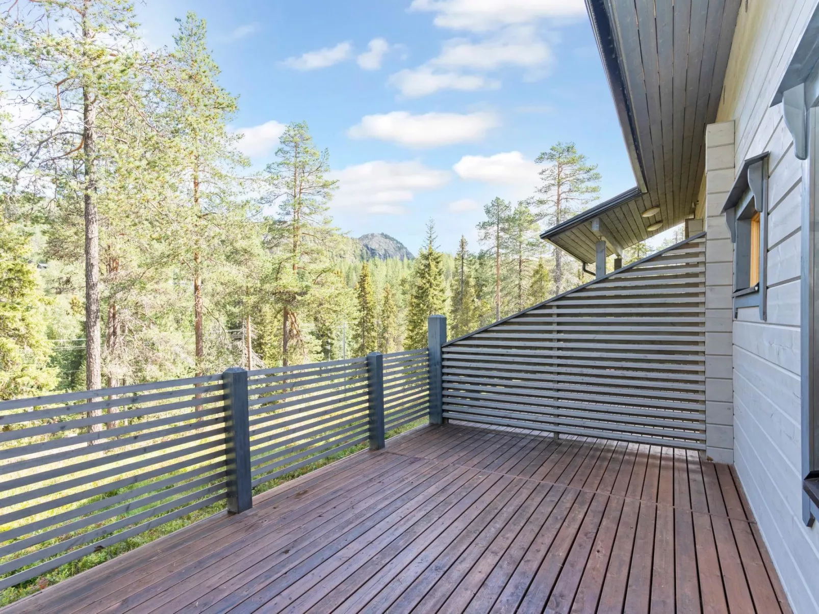 Rukan sarastus-Drinnen