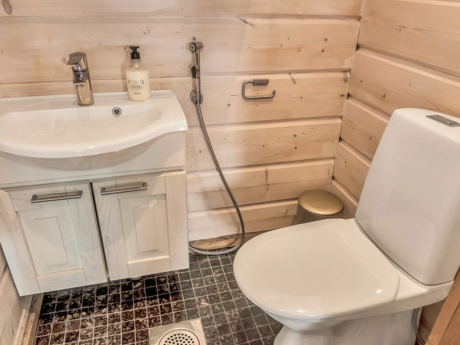 Saaruan aurinko-Dedans