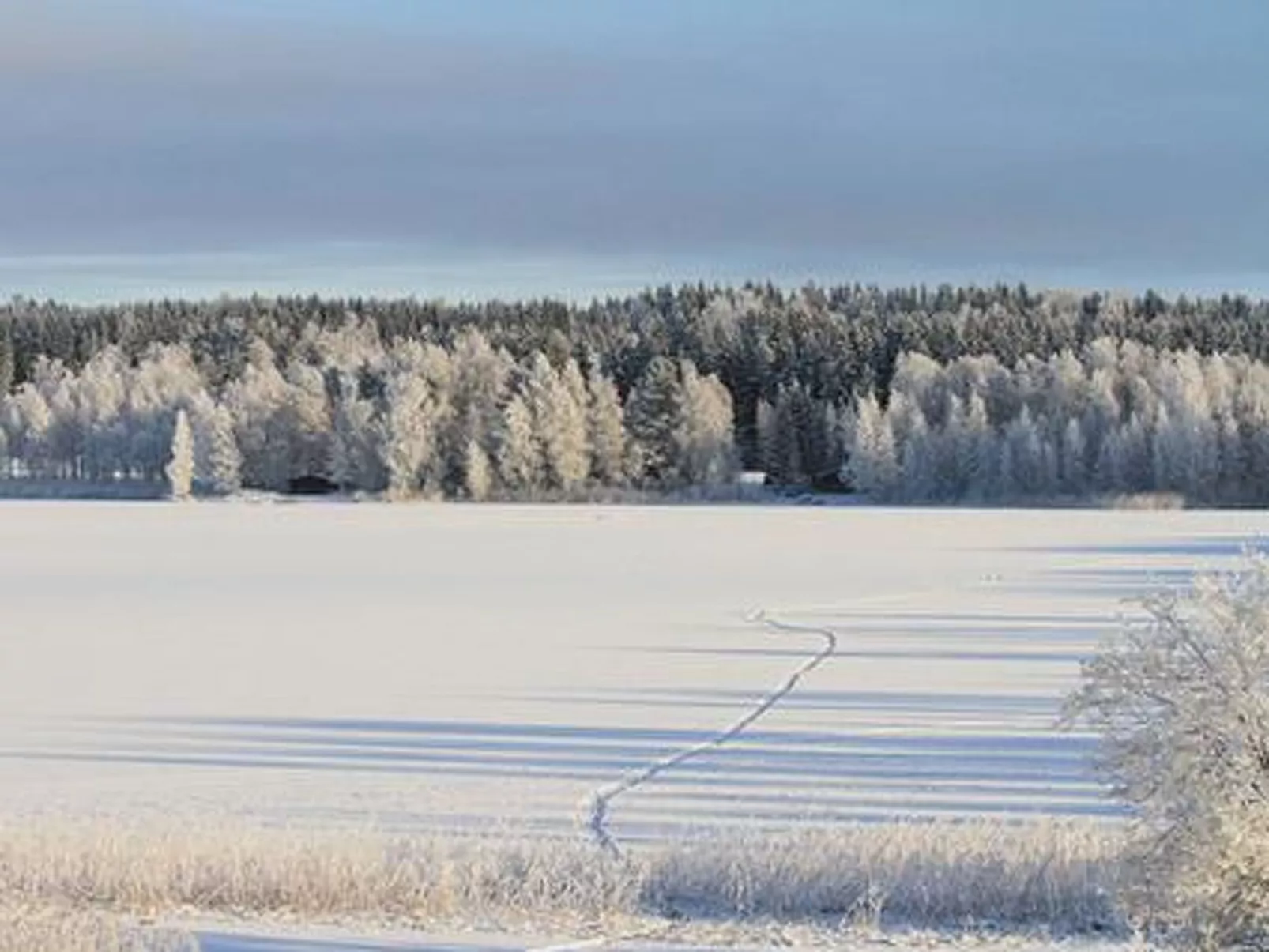 Kopinkallio 3-Drinnen