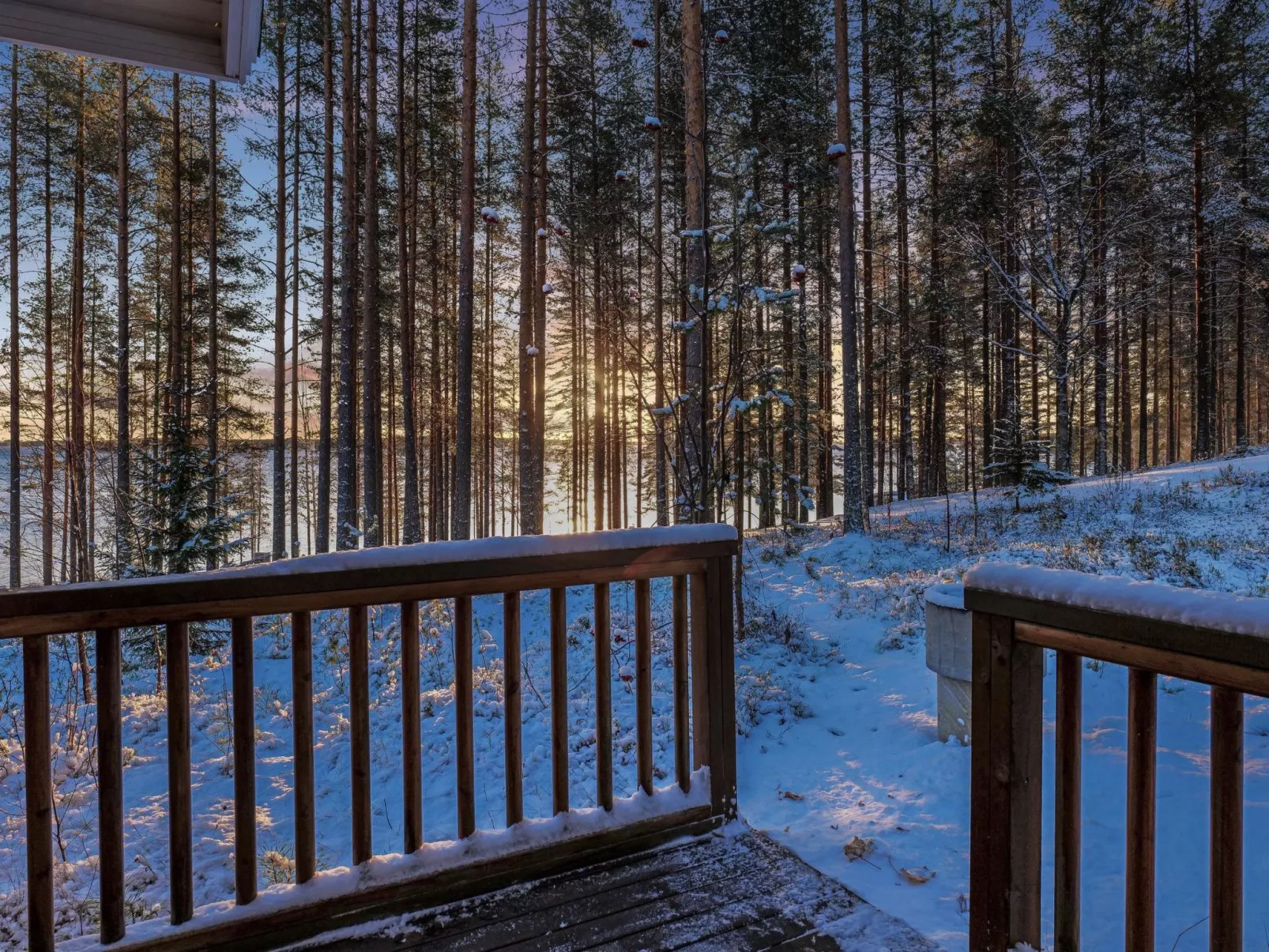 Kolin vernetti 1-Dedans