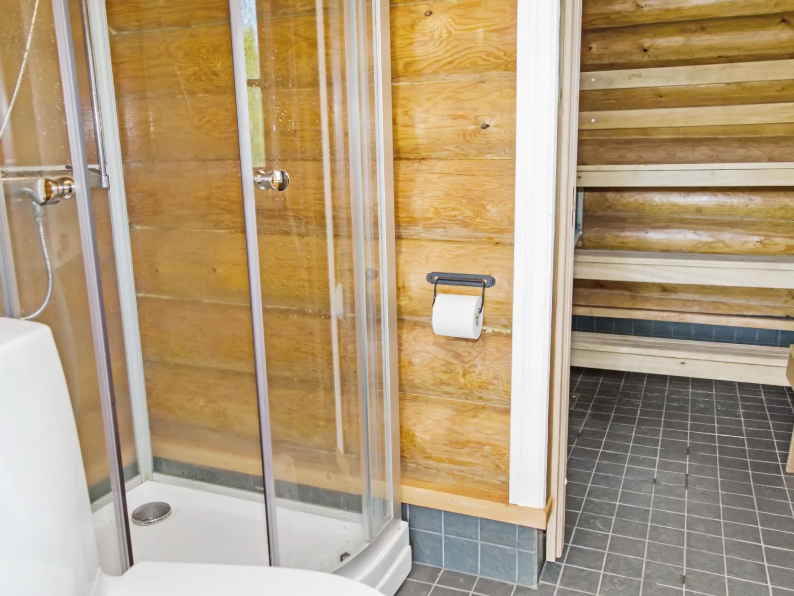 Haapaniemi, cjoe020-Dedans