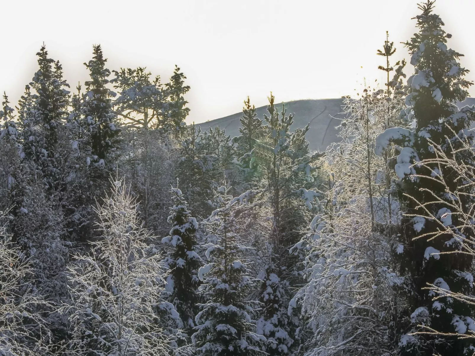 Lapland happiness / skistar 201-Drinnen