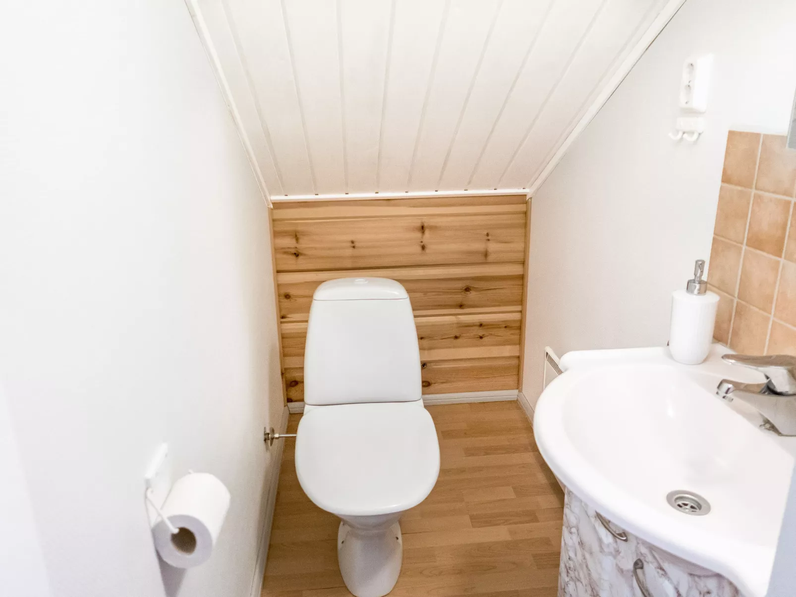 Vuokatin alma-Dedans