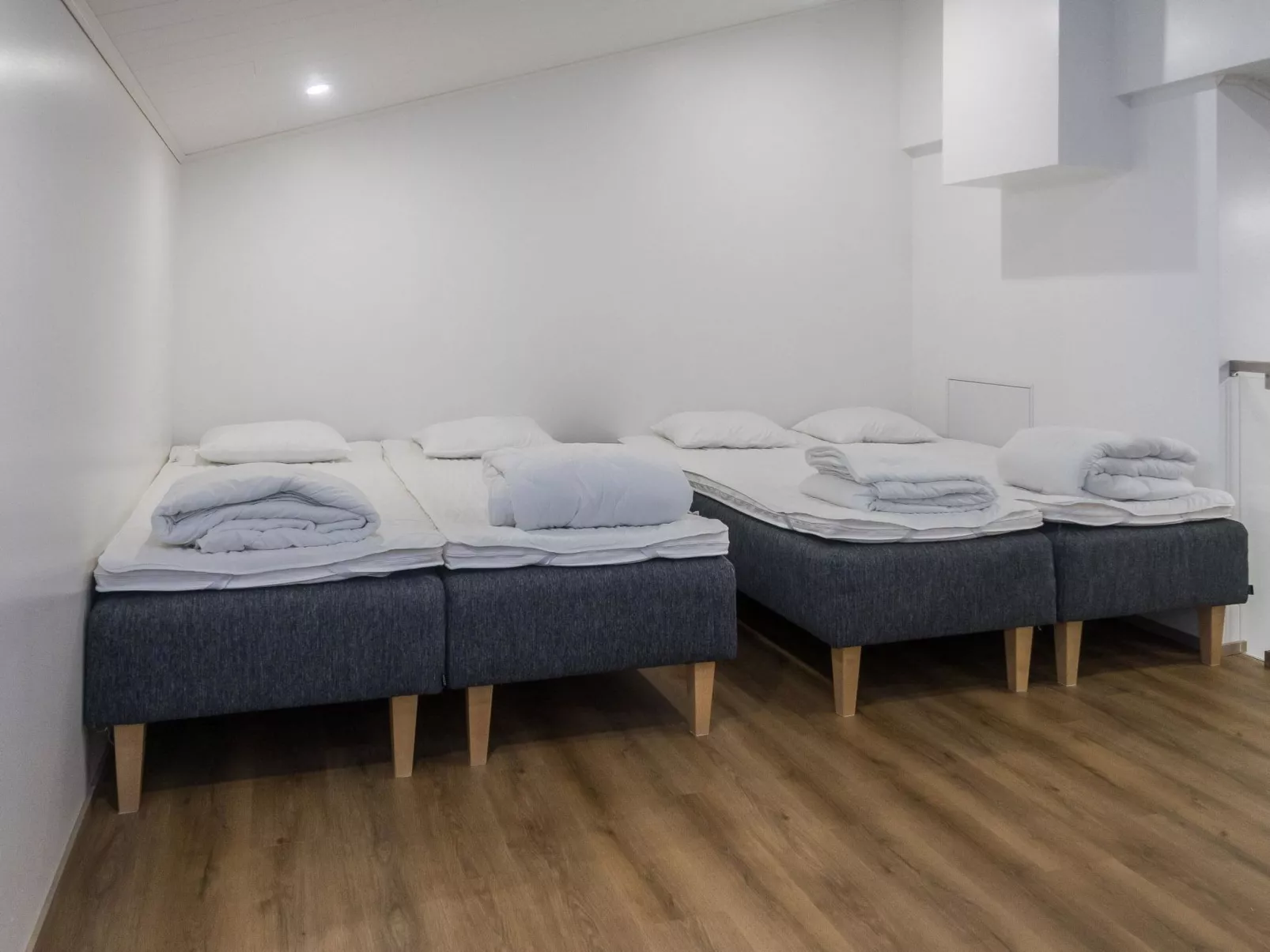 Saukonpesä a-Drinnen