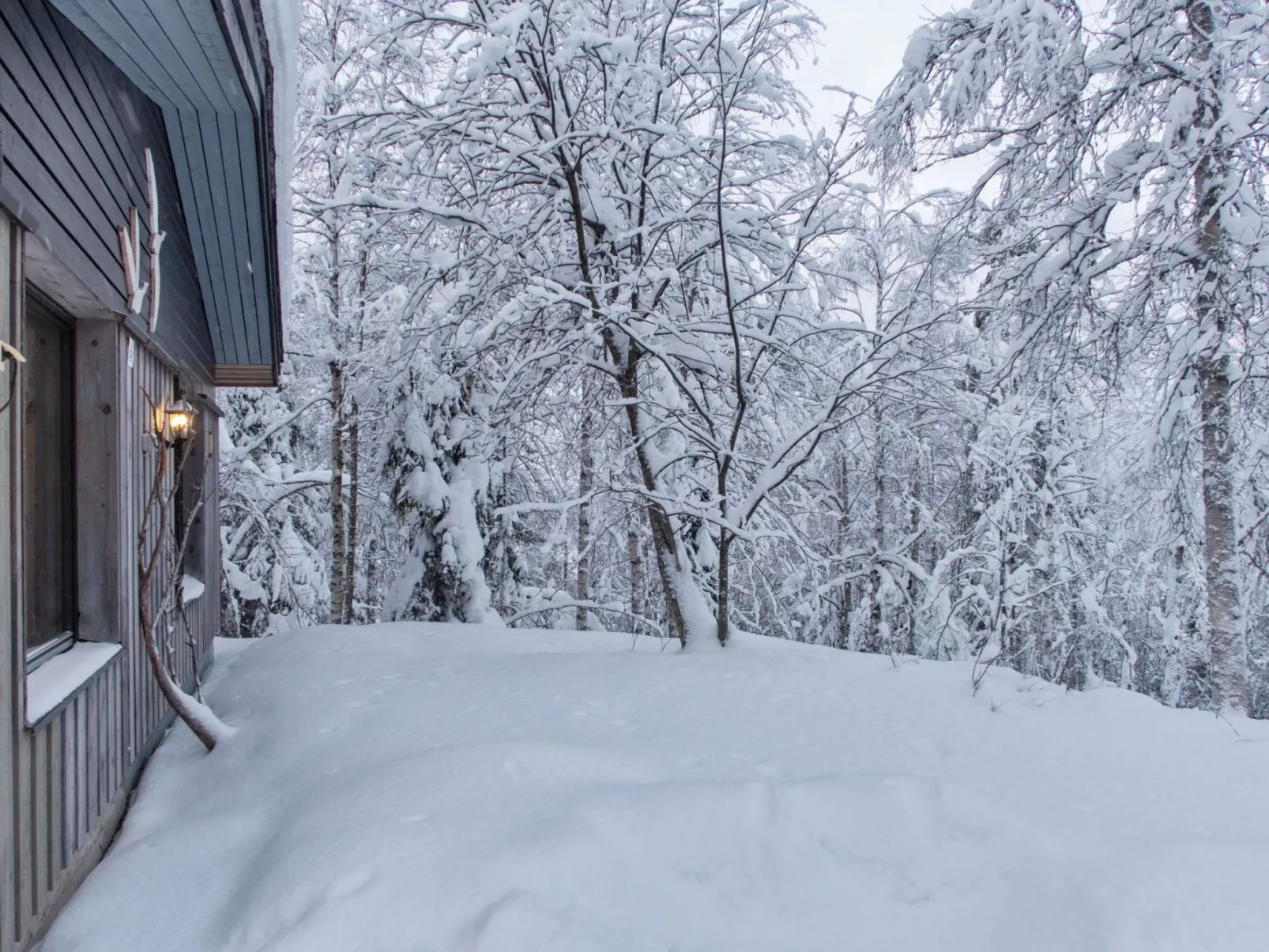 Mustalampi 3 lintukoto-Dedans