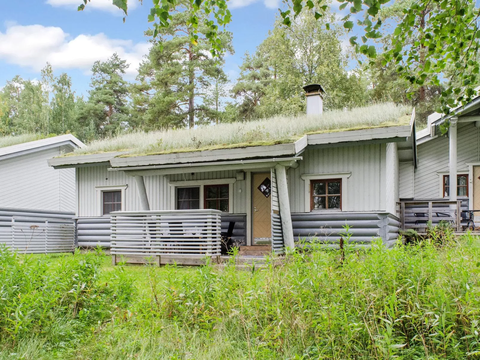 Kulta-käkönen 10 by bomba-Dedans