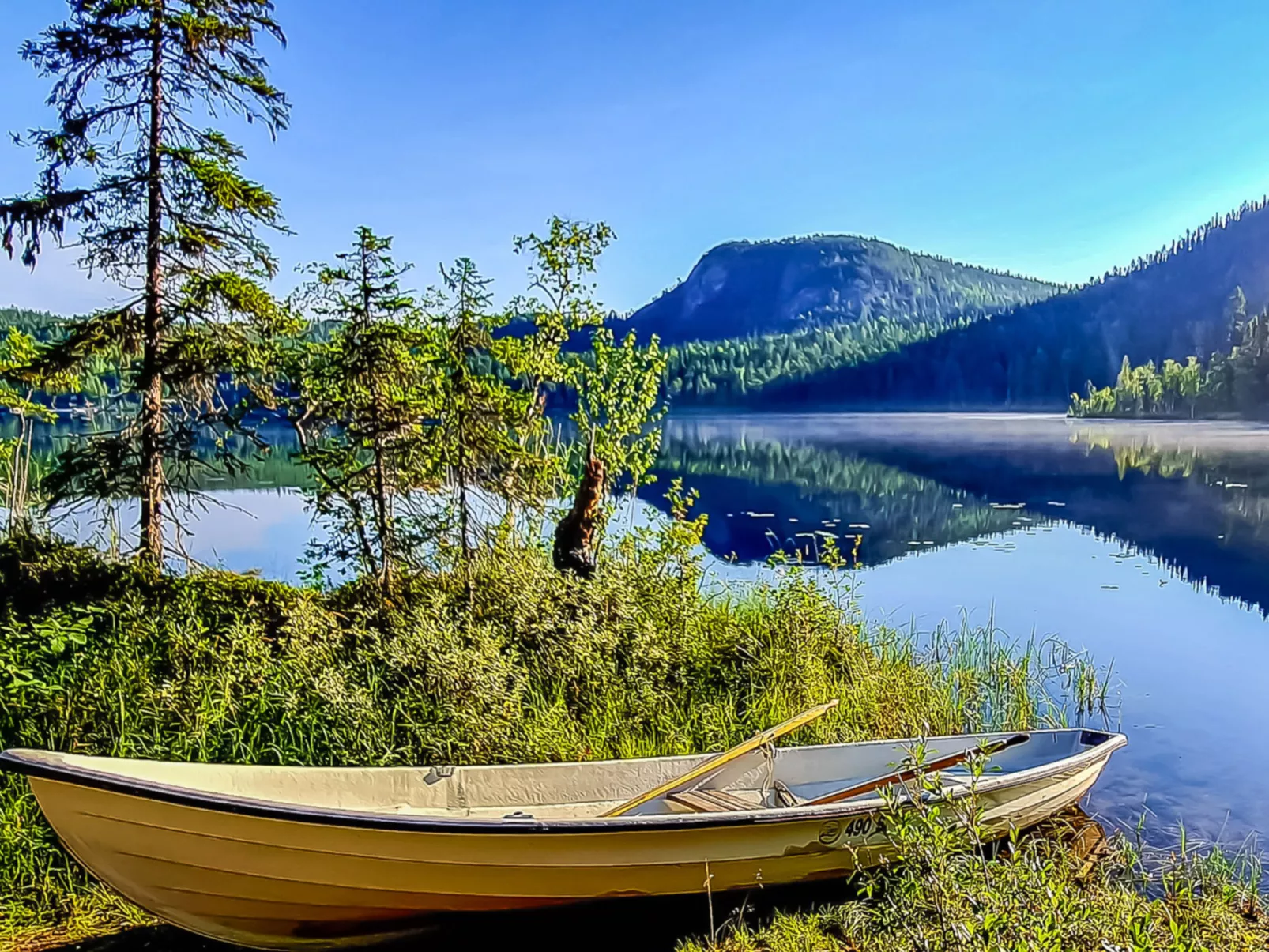 Ruka sinirinta as. 1-Inside