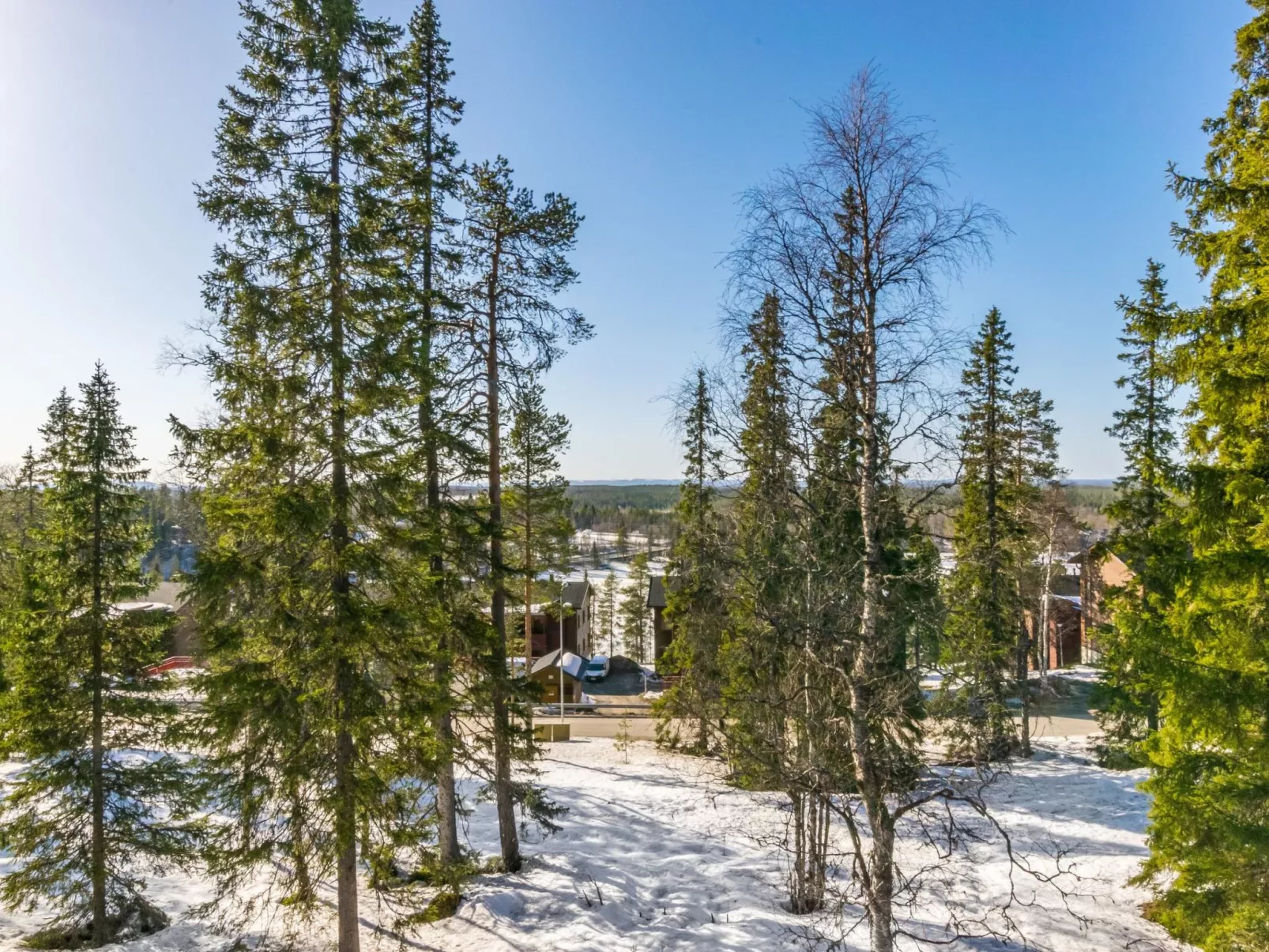 Karhunvartijan pirtti c4-Dedans