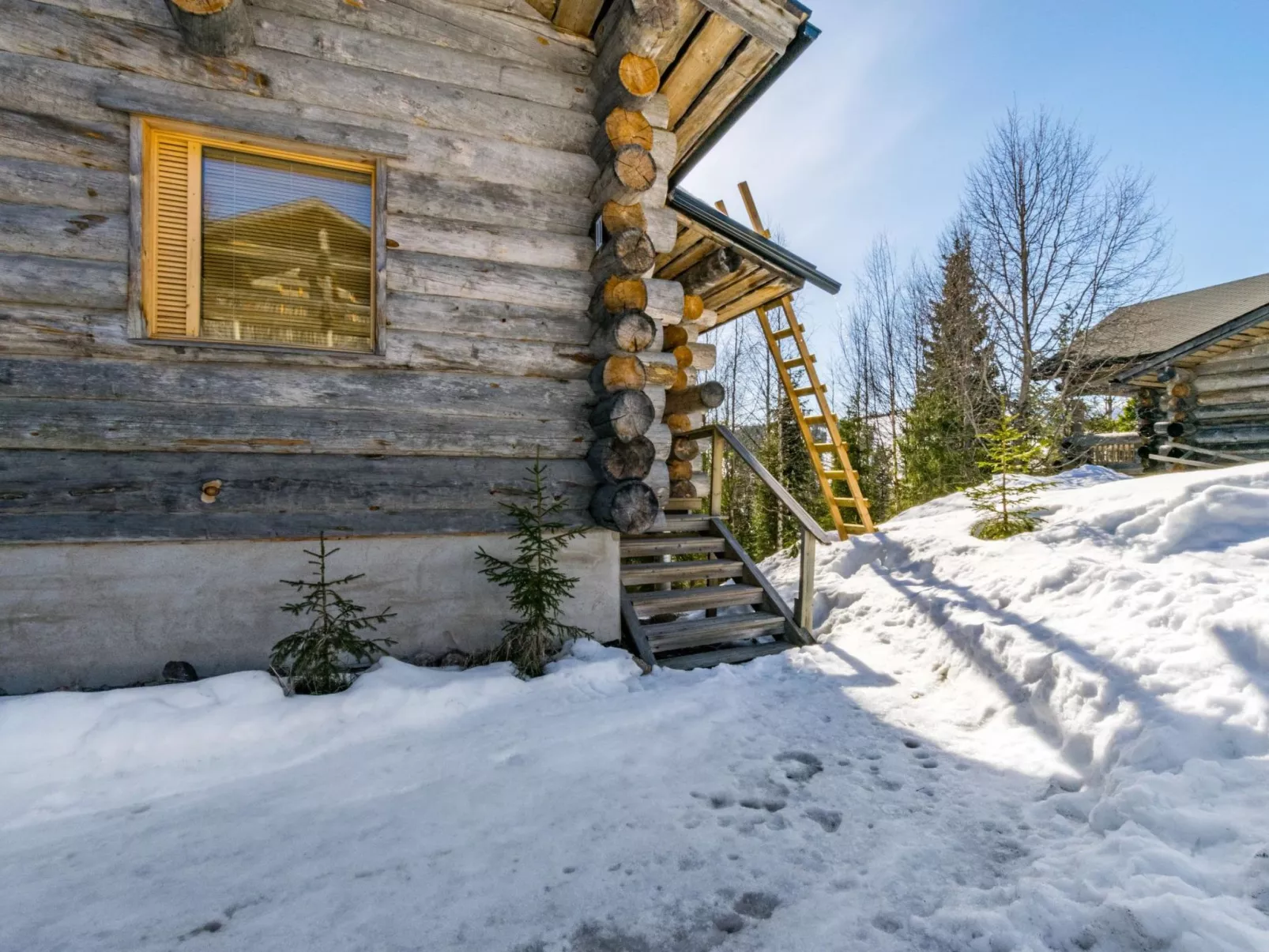 Rinnekieppi 2-Drinnen