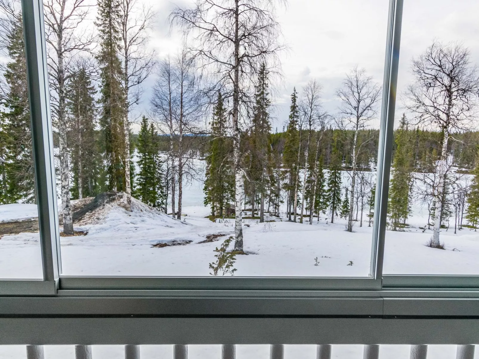 Mestarikämpät b10-Dedans