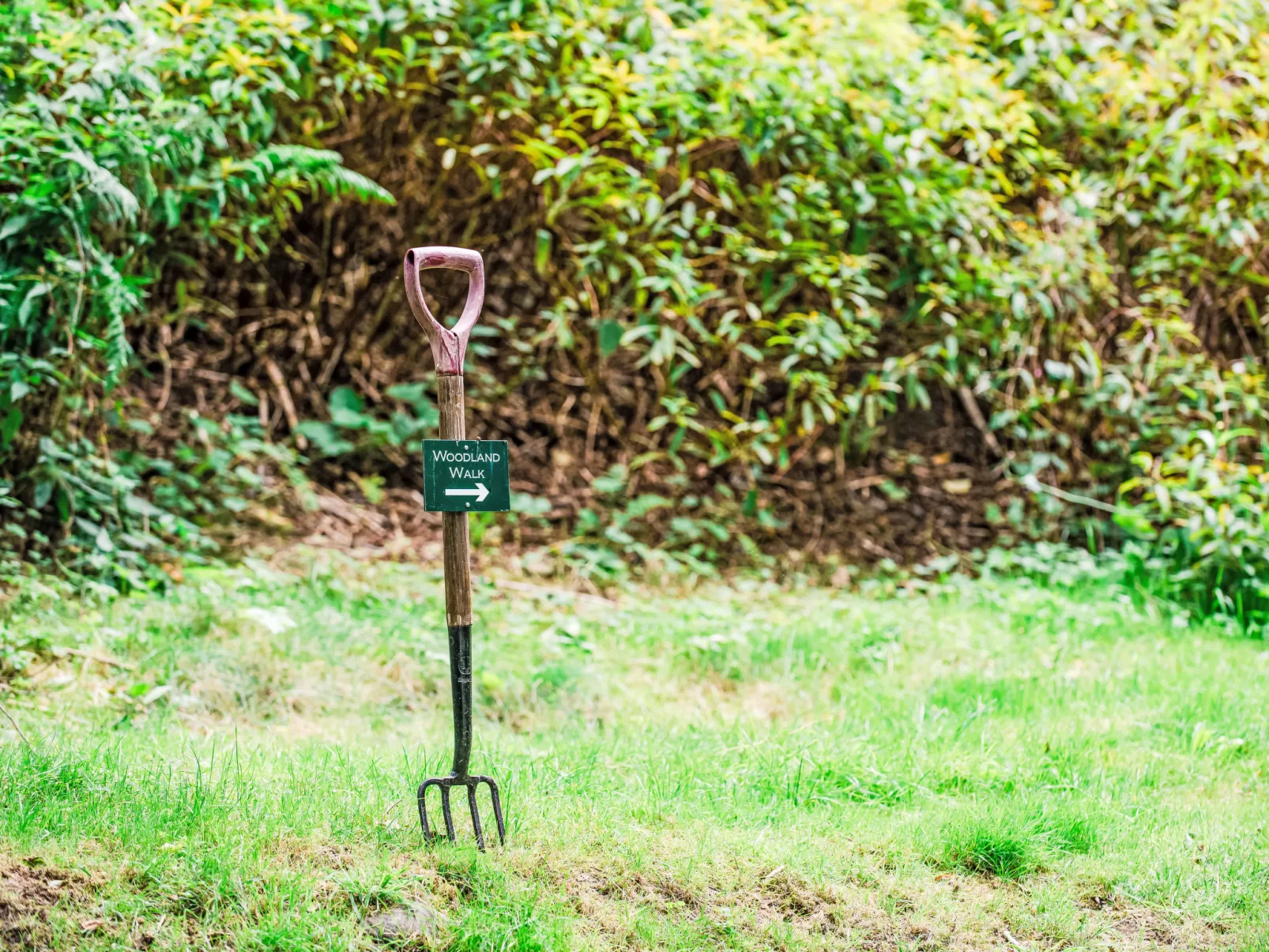 Farmburn Bothy-Draußen