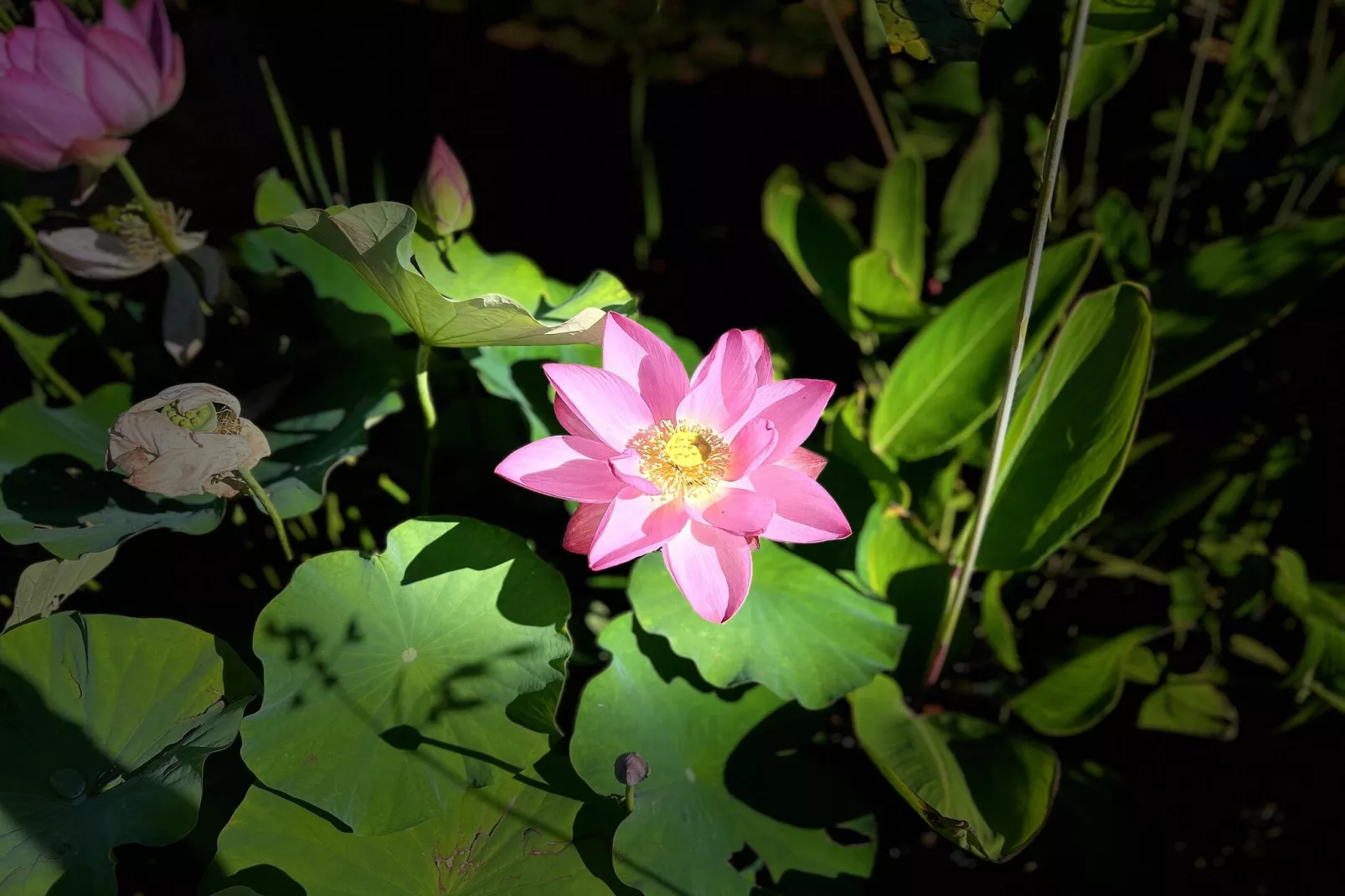 Sur la Cave-Ambiente